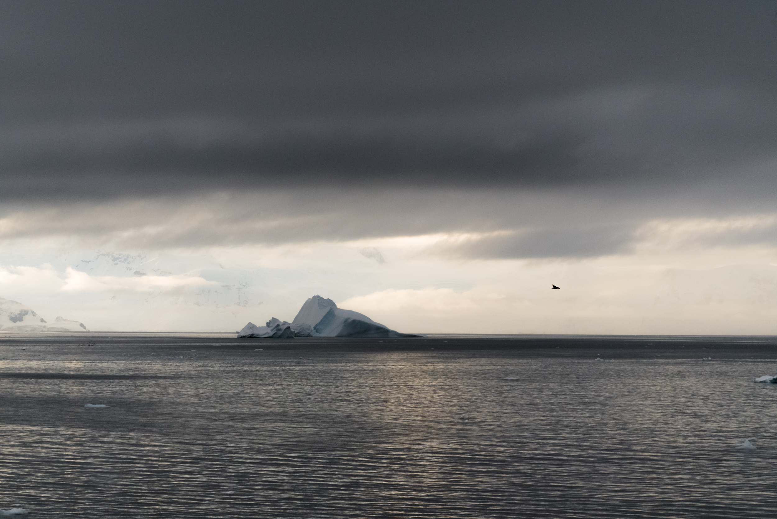Antarctica Copyright Fraser Morton.jpg