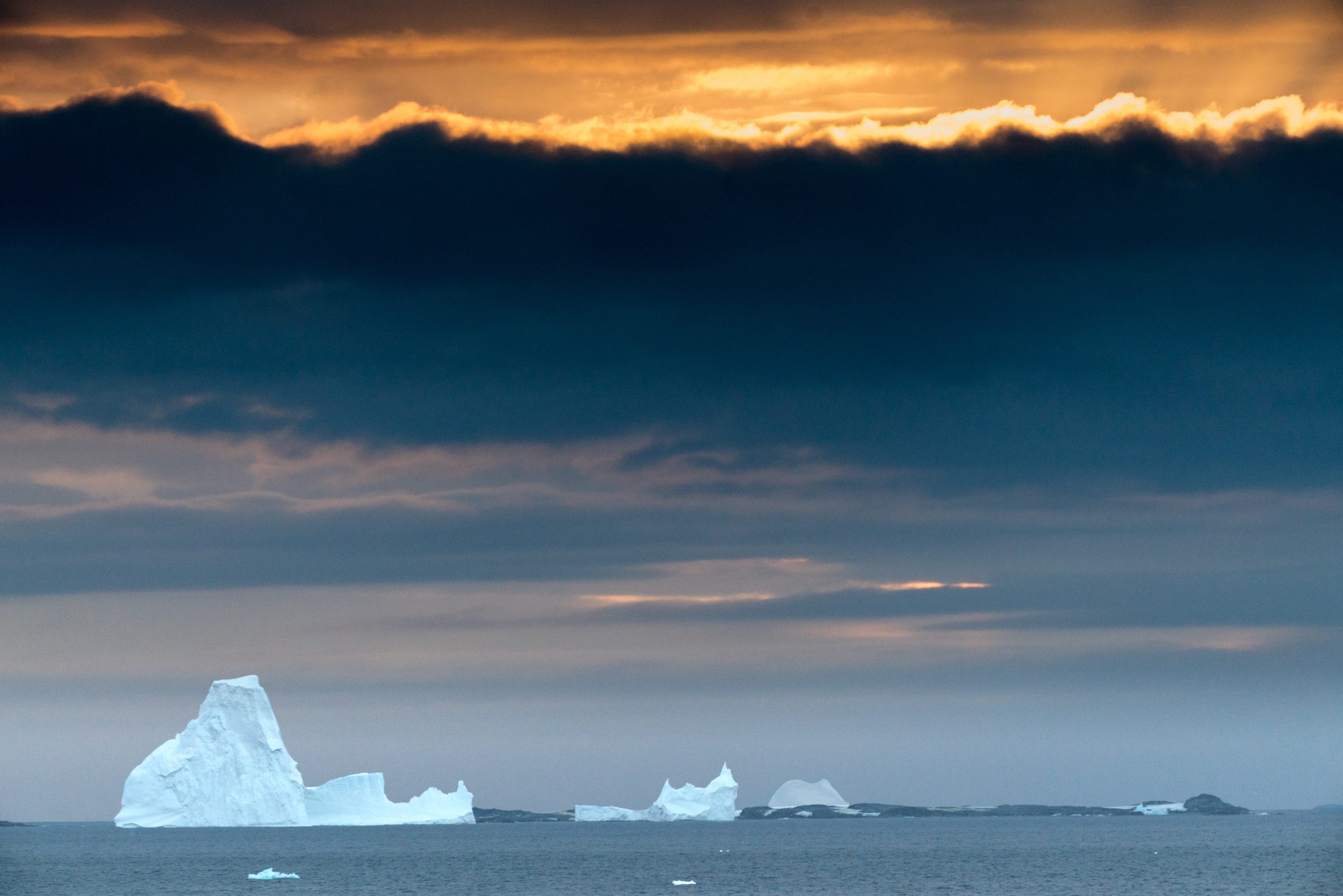 Copy of Antarctica Copyright Fraser Morton