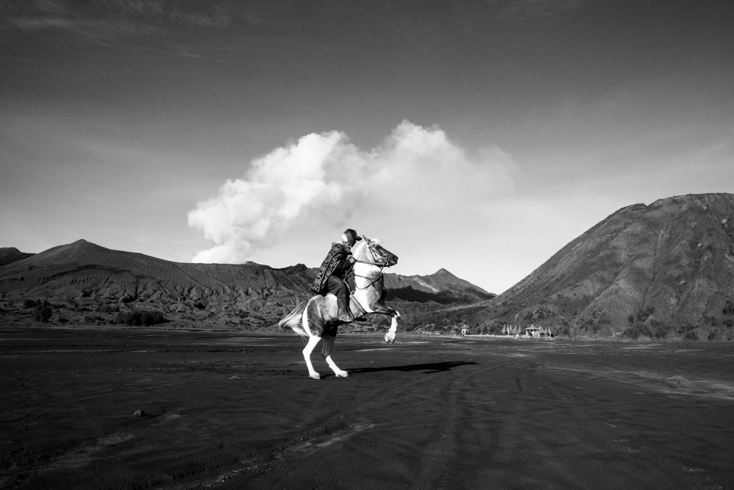 Volcano+Horses+by+Fraser+Morton.jpeg