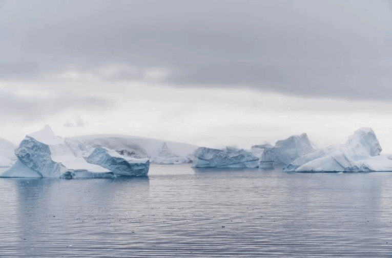 Antarctica+Copyright+Fraser+Morton.png