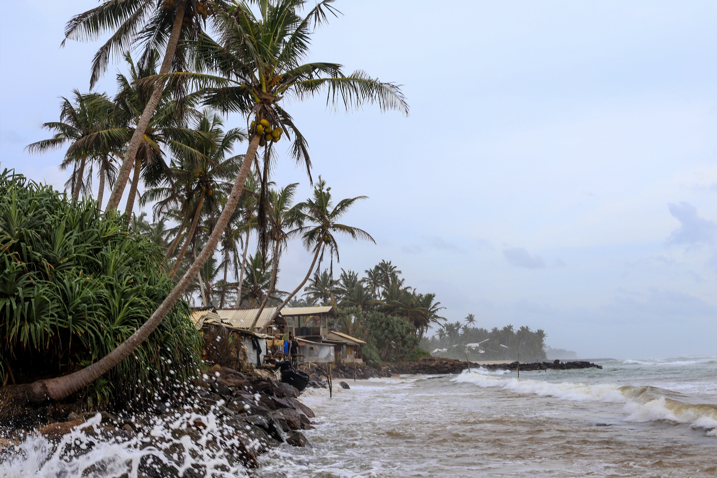 Sri+Lanka+Stilt+Fishermen+Far+Features1.jpeg