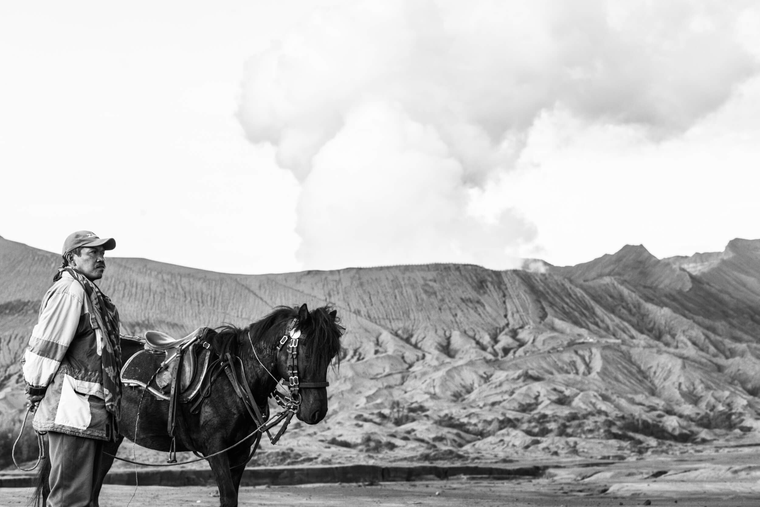 Volcano+Horses+by+Fraser+Morton26.jpg