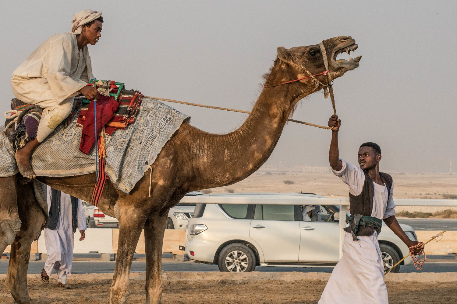 Camel Robots by Far Features | Far Features media production company | Qatar Desert | animal abuse | documentary photo essayCamel Robots by Far Features | Far Features media production company | Qatar Desert | animal abuse | photo essay