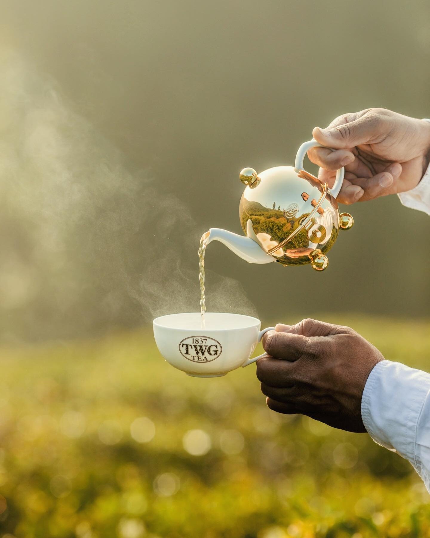 Great to see the launch of TWG&rsquo;s new Tea Origin Stories, which we enjoyed working on. This is an ongoing behind-the-scenes look at some of the world&rsquo;s most iconic, artisanal teas. The ongoing journey starts in the foothills of the Himalay