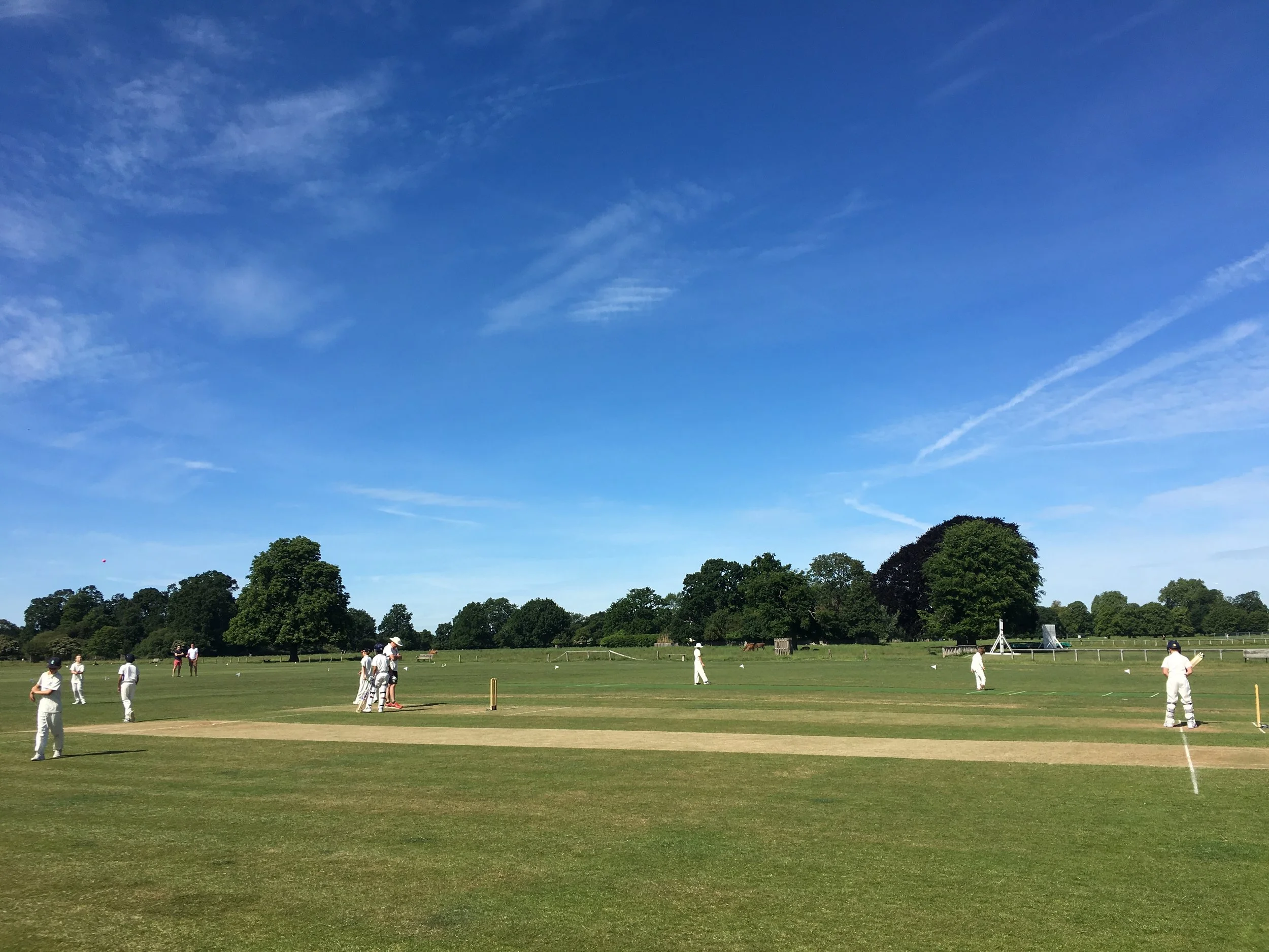 A junior match in progress in Bushy Park