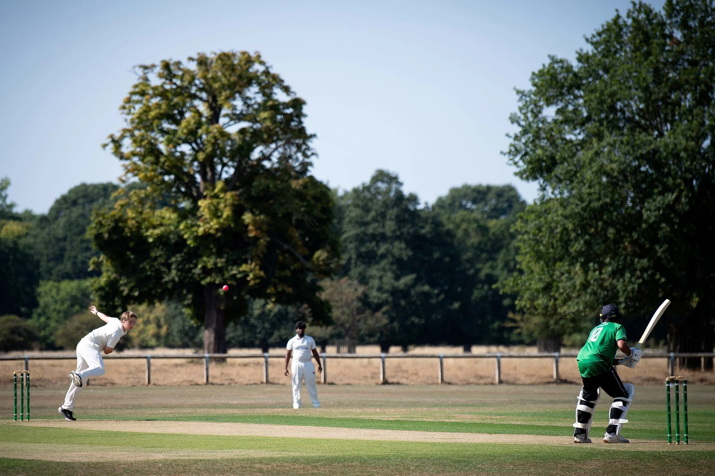 Action shot of the ground.jpg