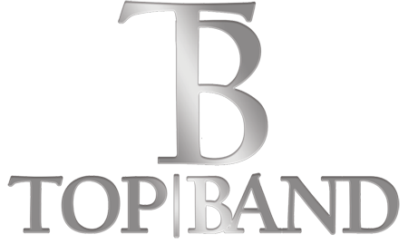 PNG 450x270 TOP LOGO PNG SILVER.png