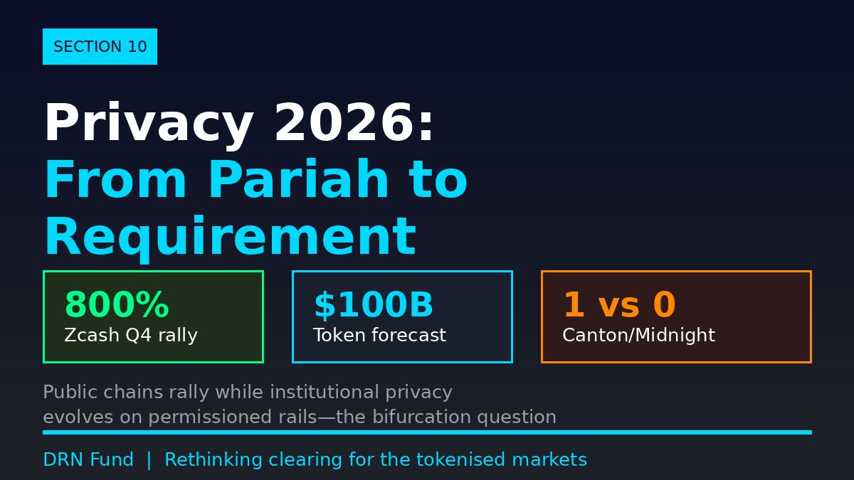 Original cover for “SECTION 10: PRIVACY — FROM CYPHERPUNK IDEAL TO INSTITUTIONAL REQUIREMENT”