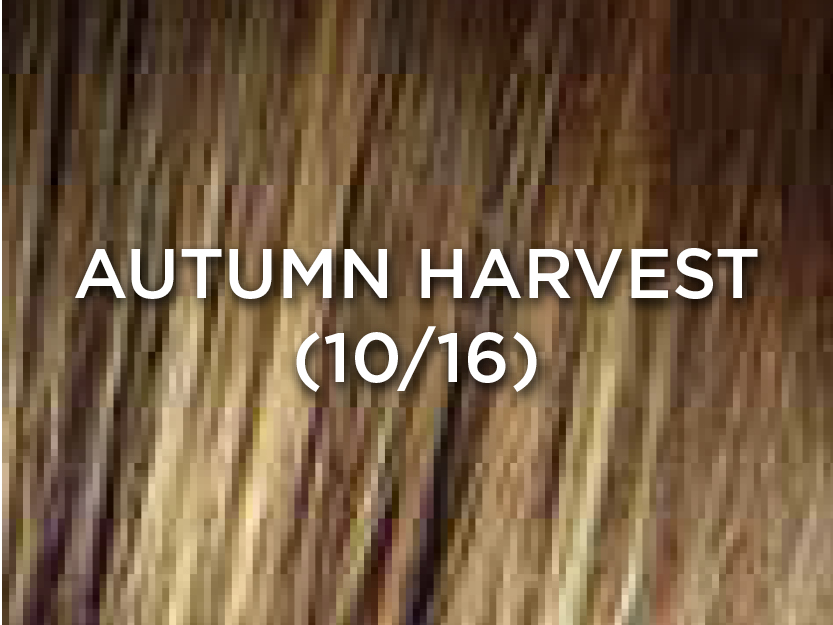 AutumnHarvest.jpg