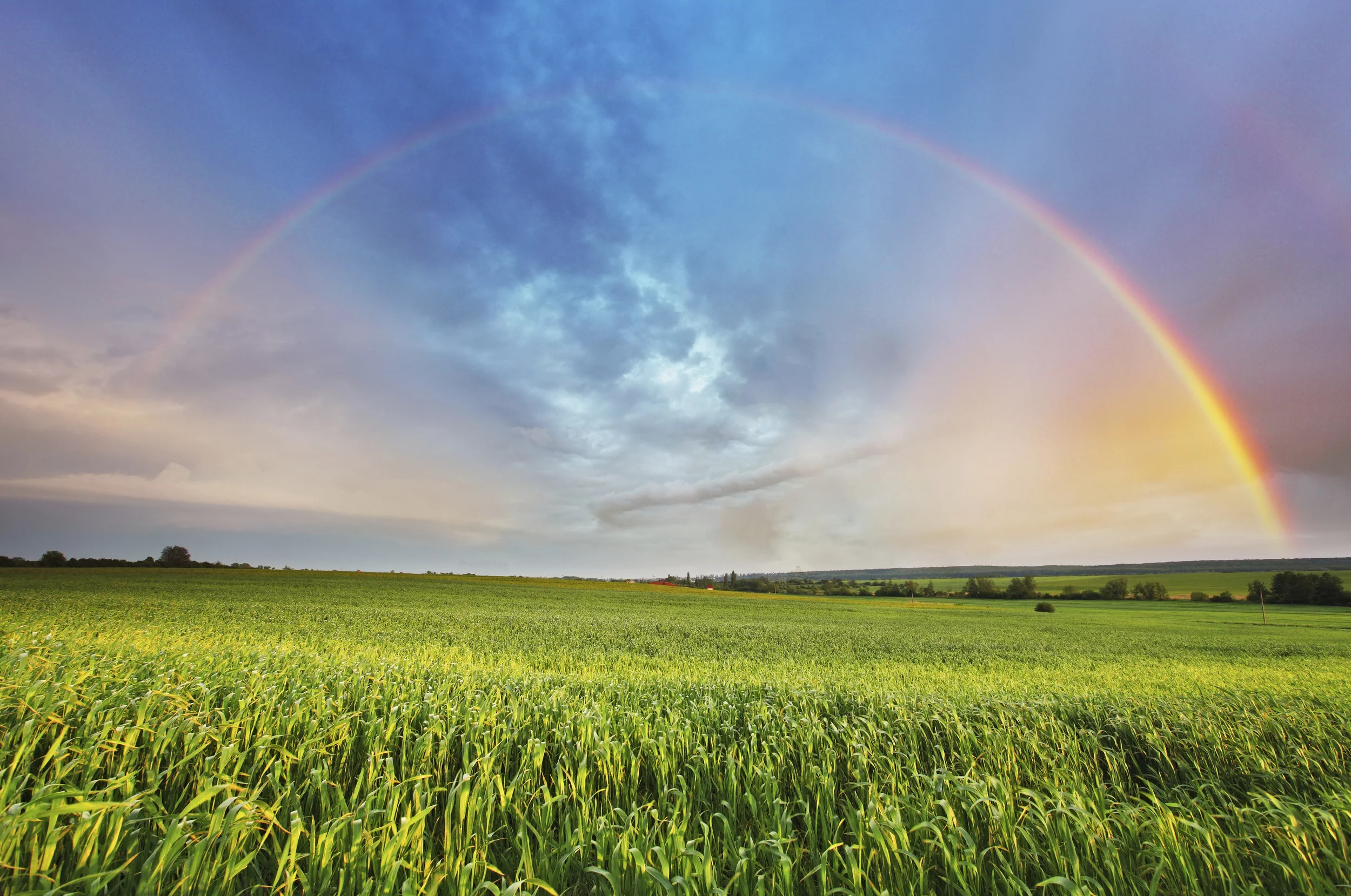 ThinkstockPhotos-481552299.jpg