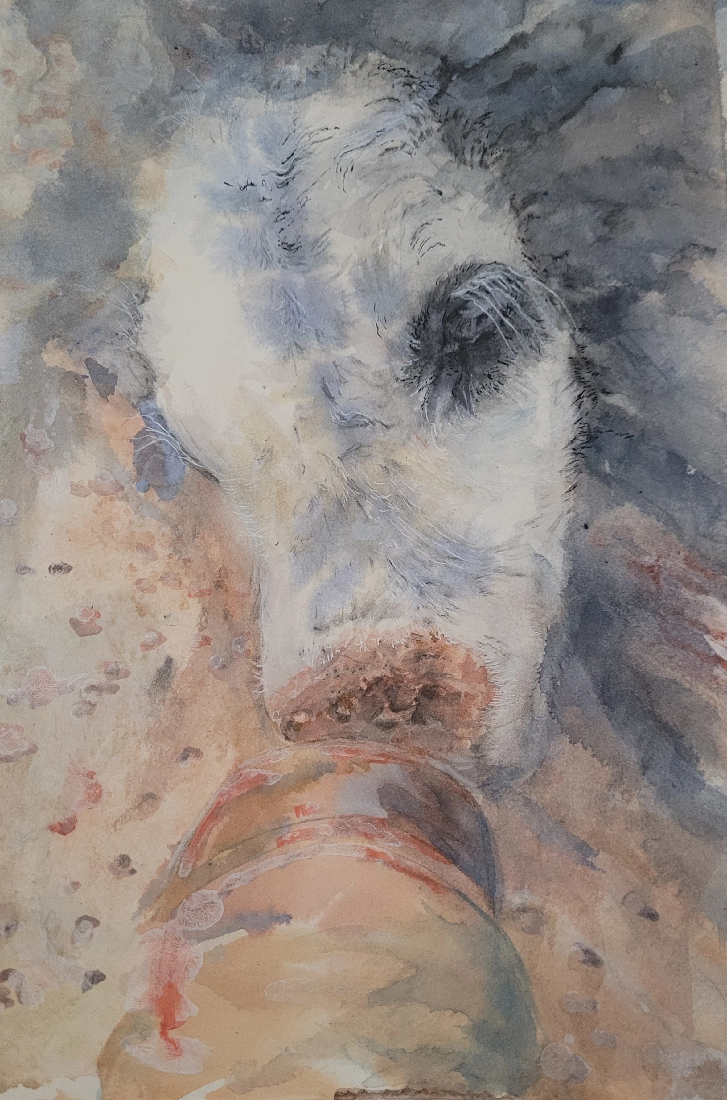 WATERCOLOR SKETCH.jpg