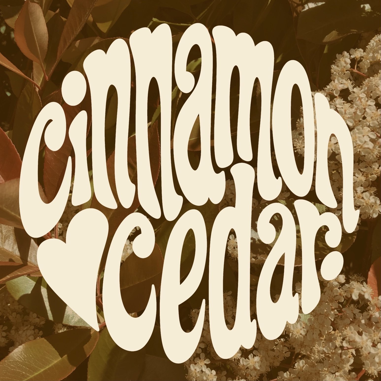 Cinnamon Cedar