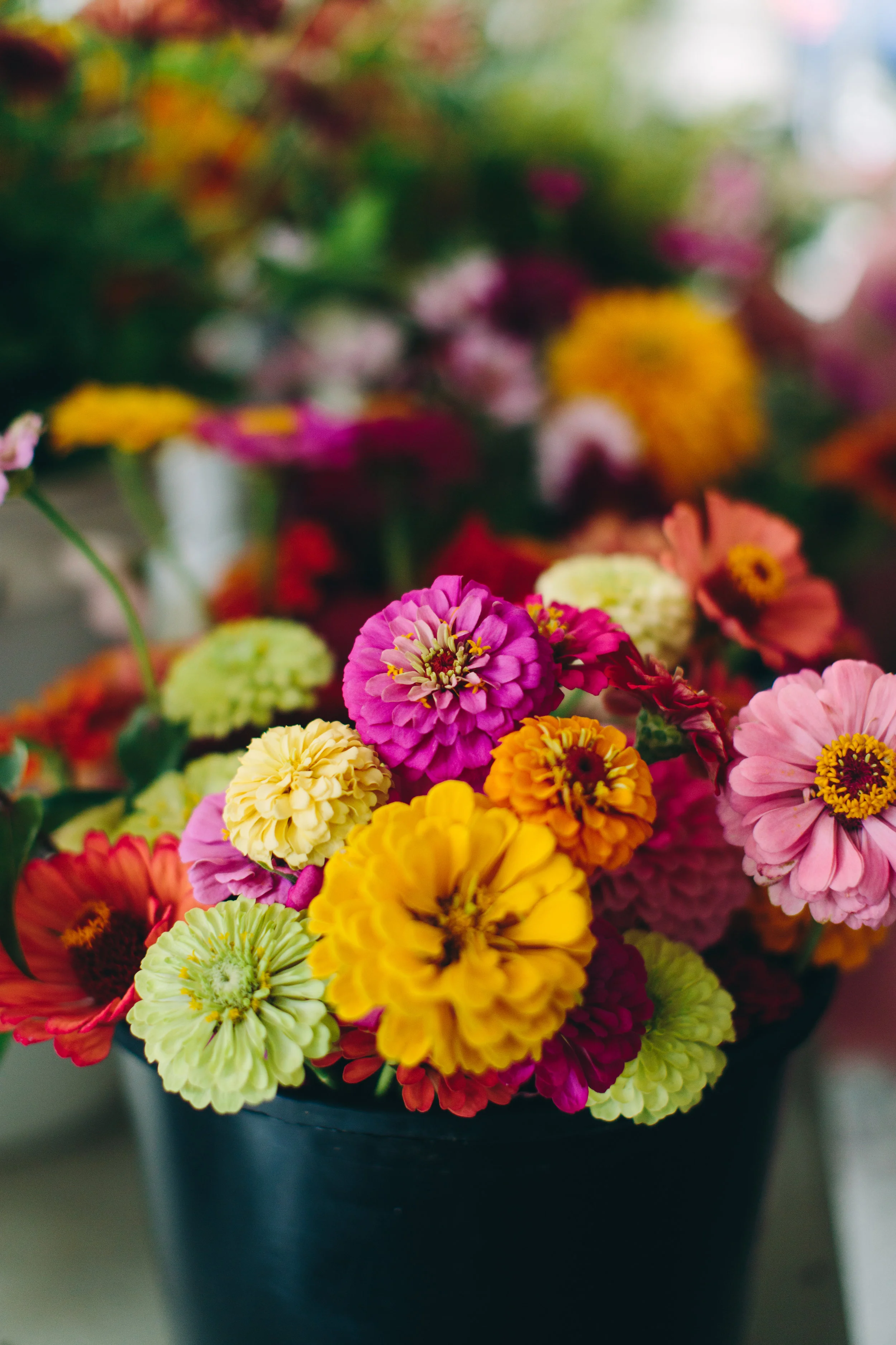flowers9.jpg