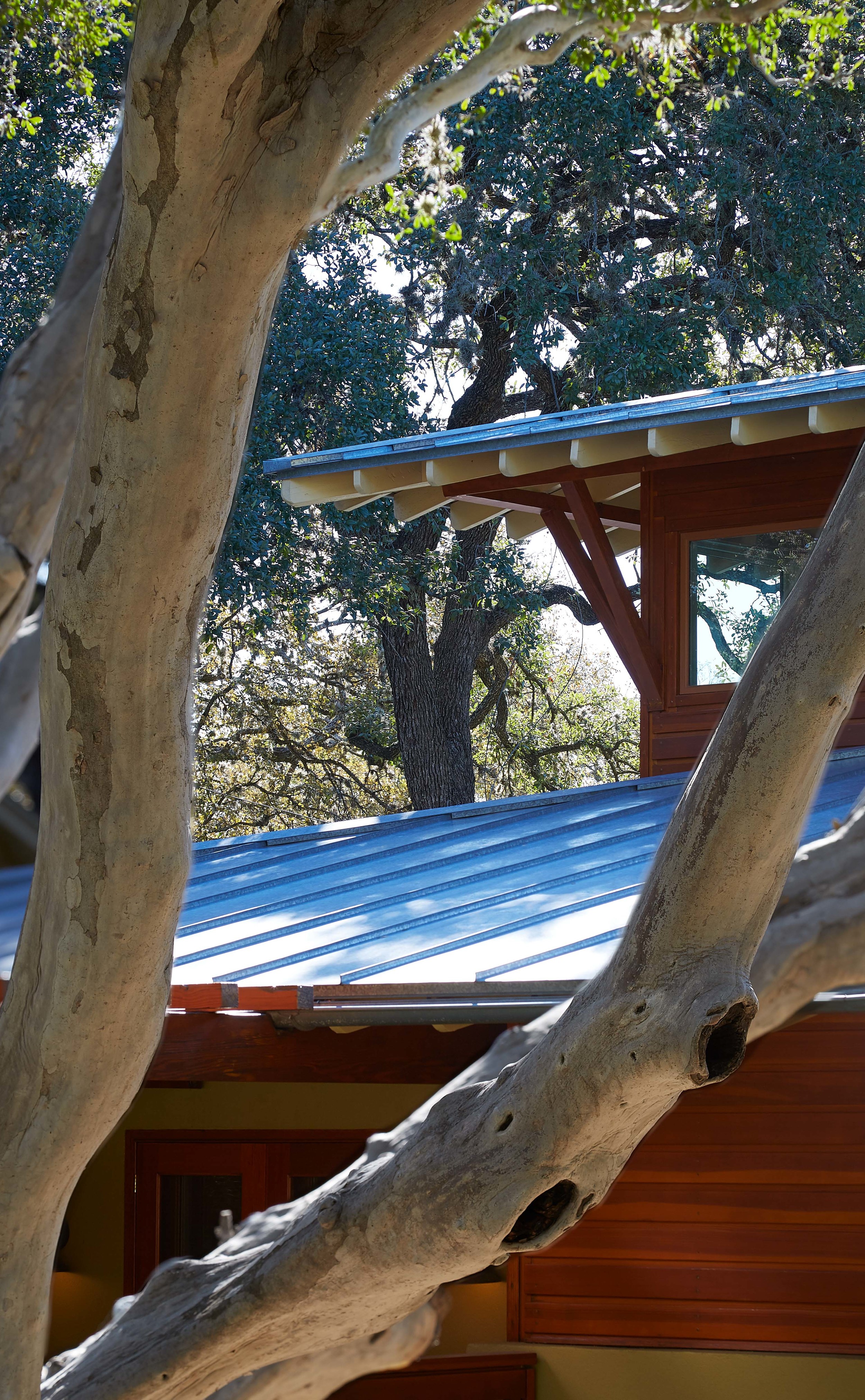 HOUSE 610- LAMONT-DB-DETAIL.jpg