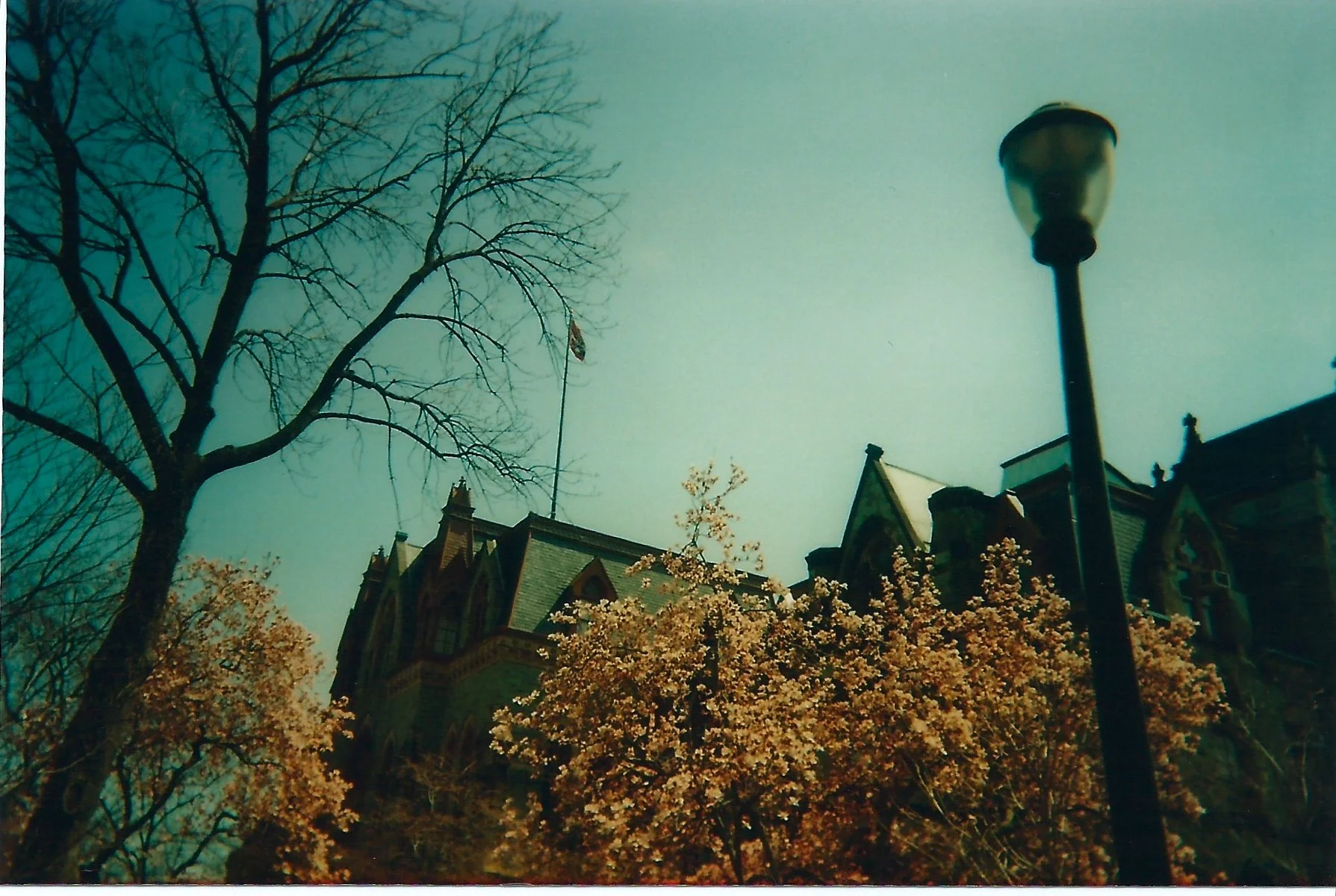 Scan 40.jpg