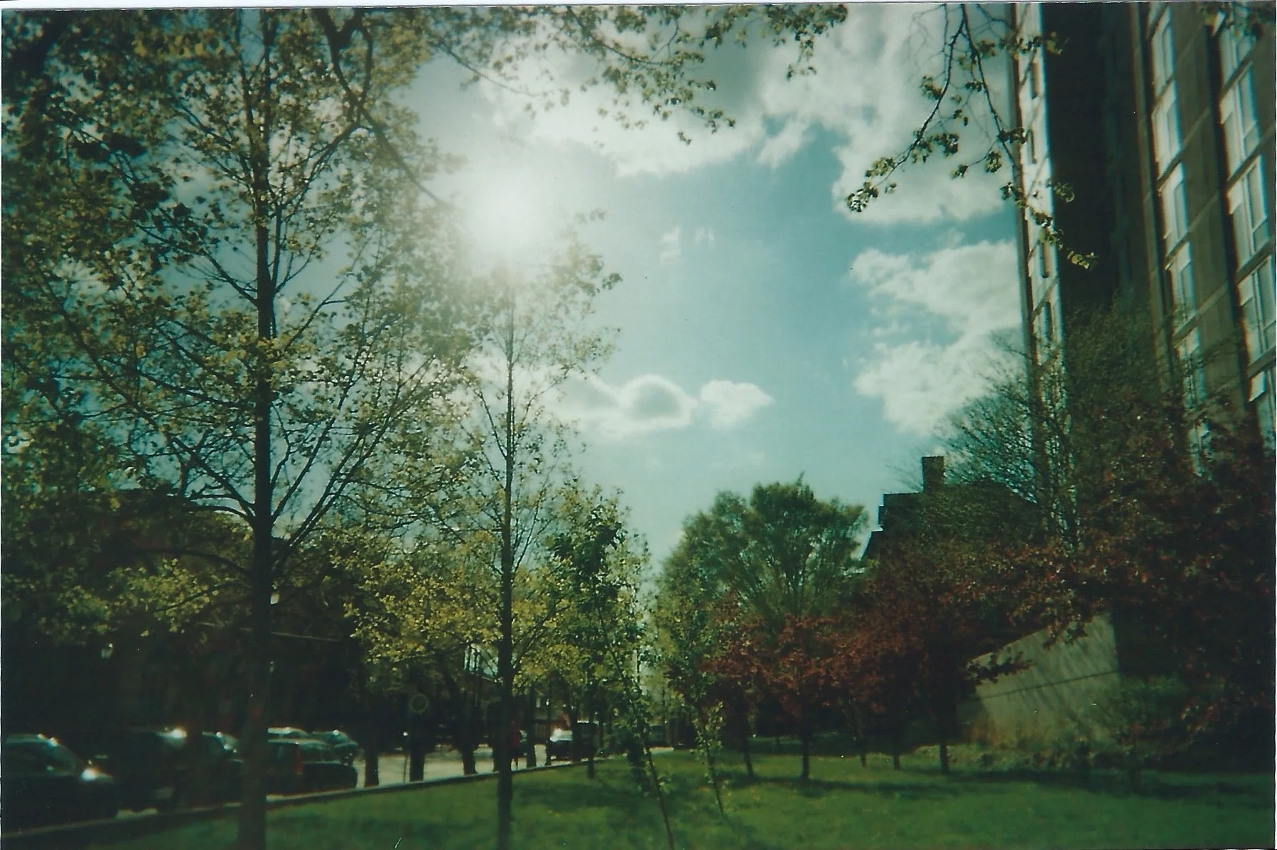Scan 75.jpg