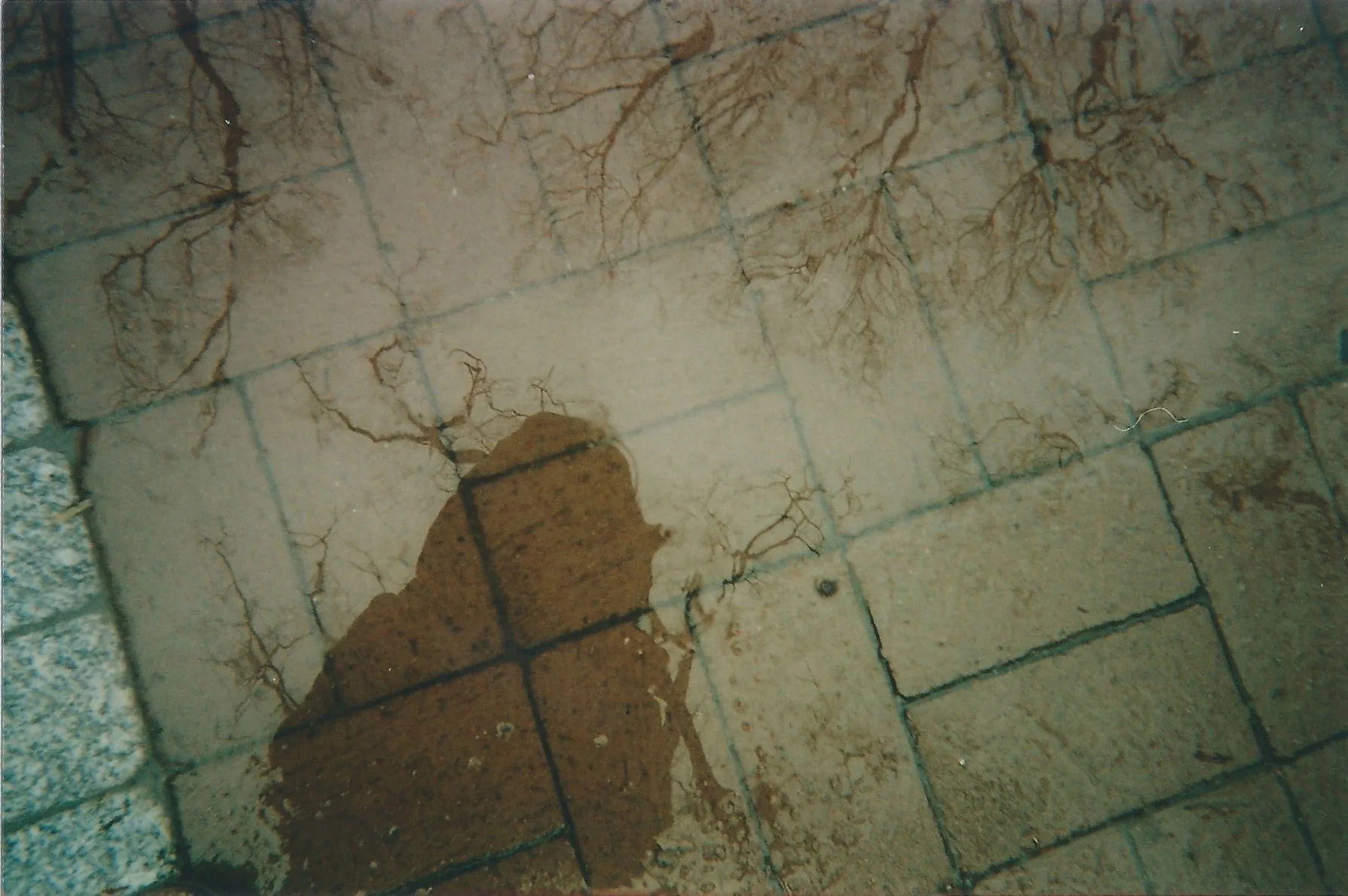 Scan 222.jpg