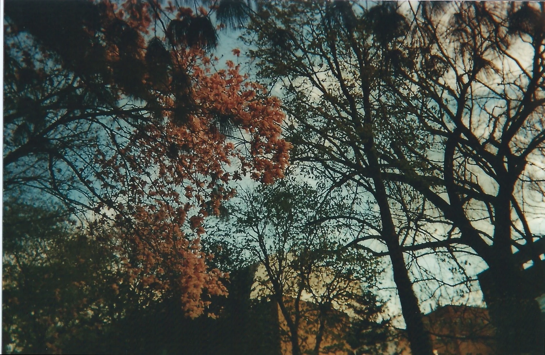 Scan 167.jpg