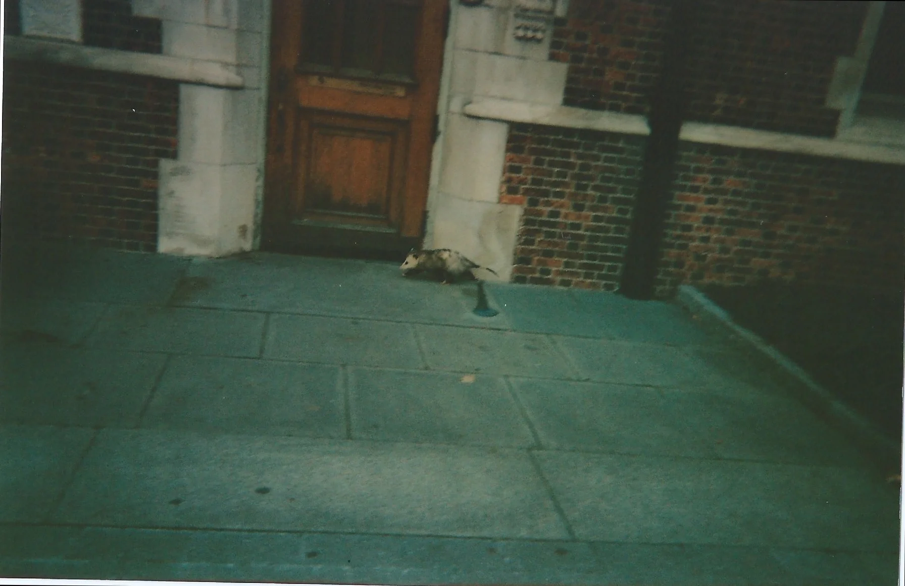 Scan 140.jpg