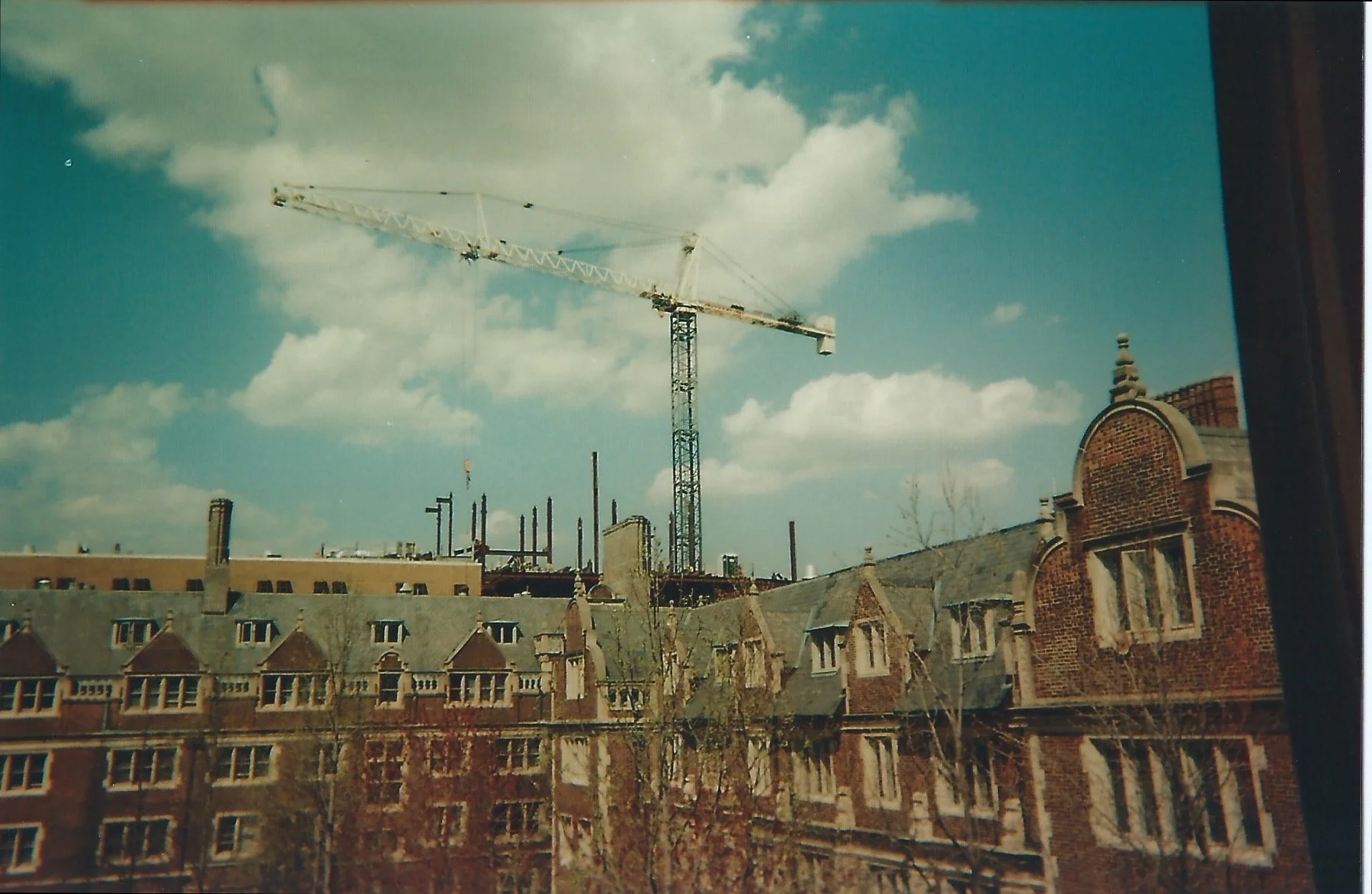 Scan 154.jpg