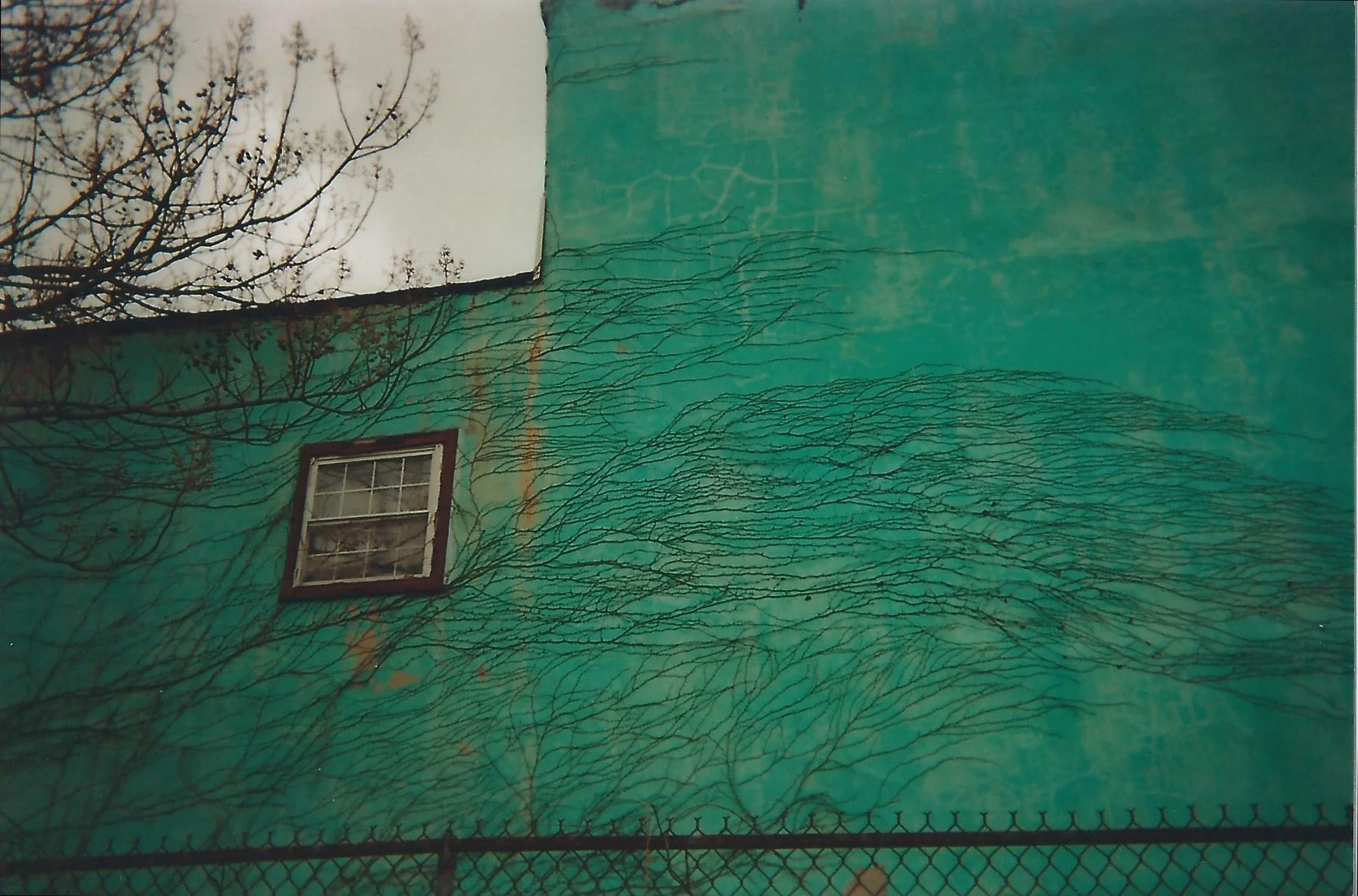 Scan 209.jpg