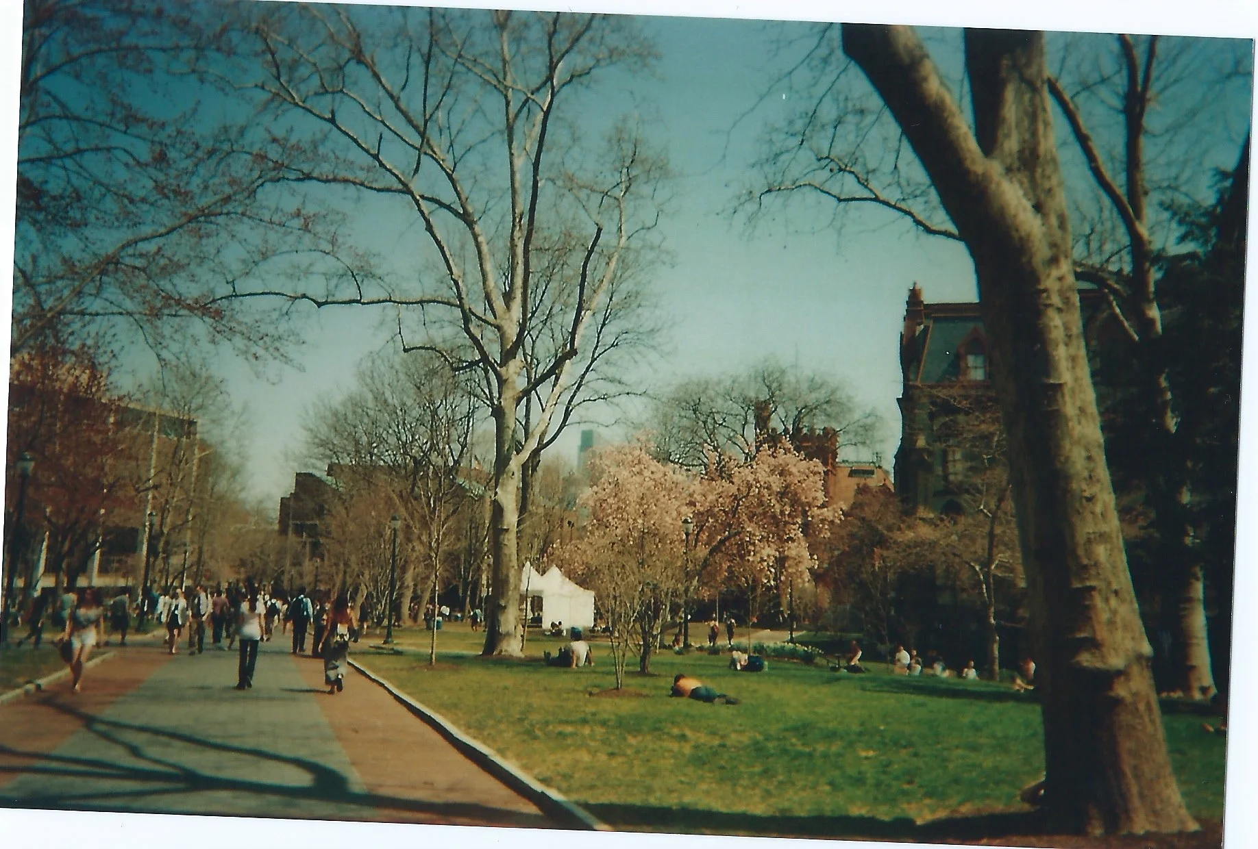 Scan 44.jpg