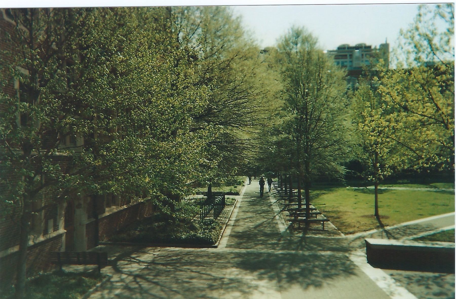 Scan 201.jpg