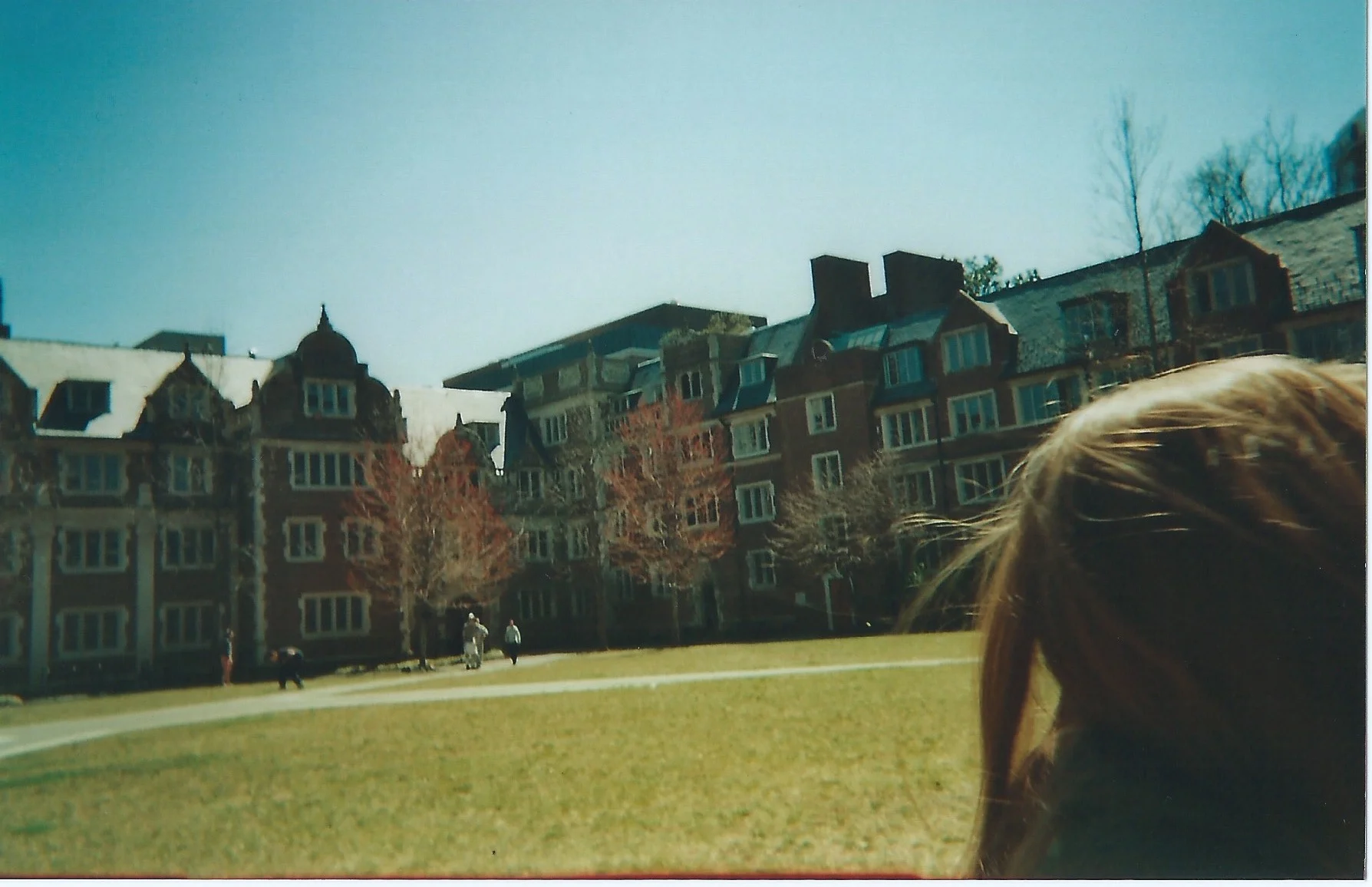 Scan 137.jpg
