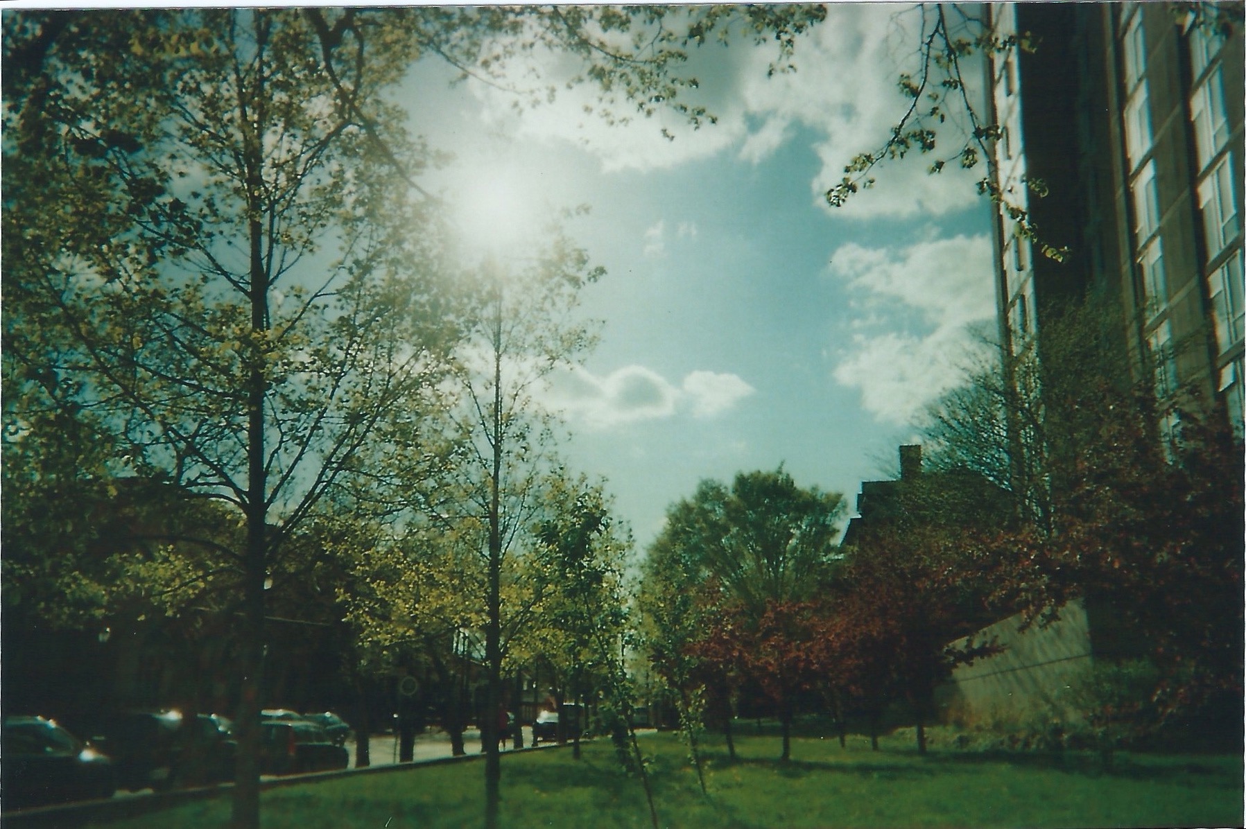 Scan 75.jpg