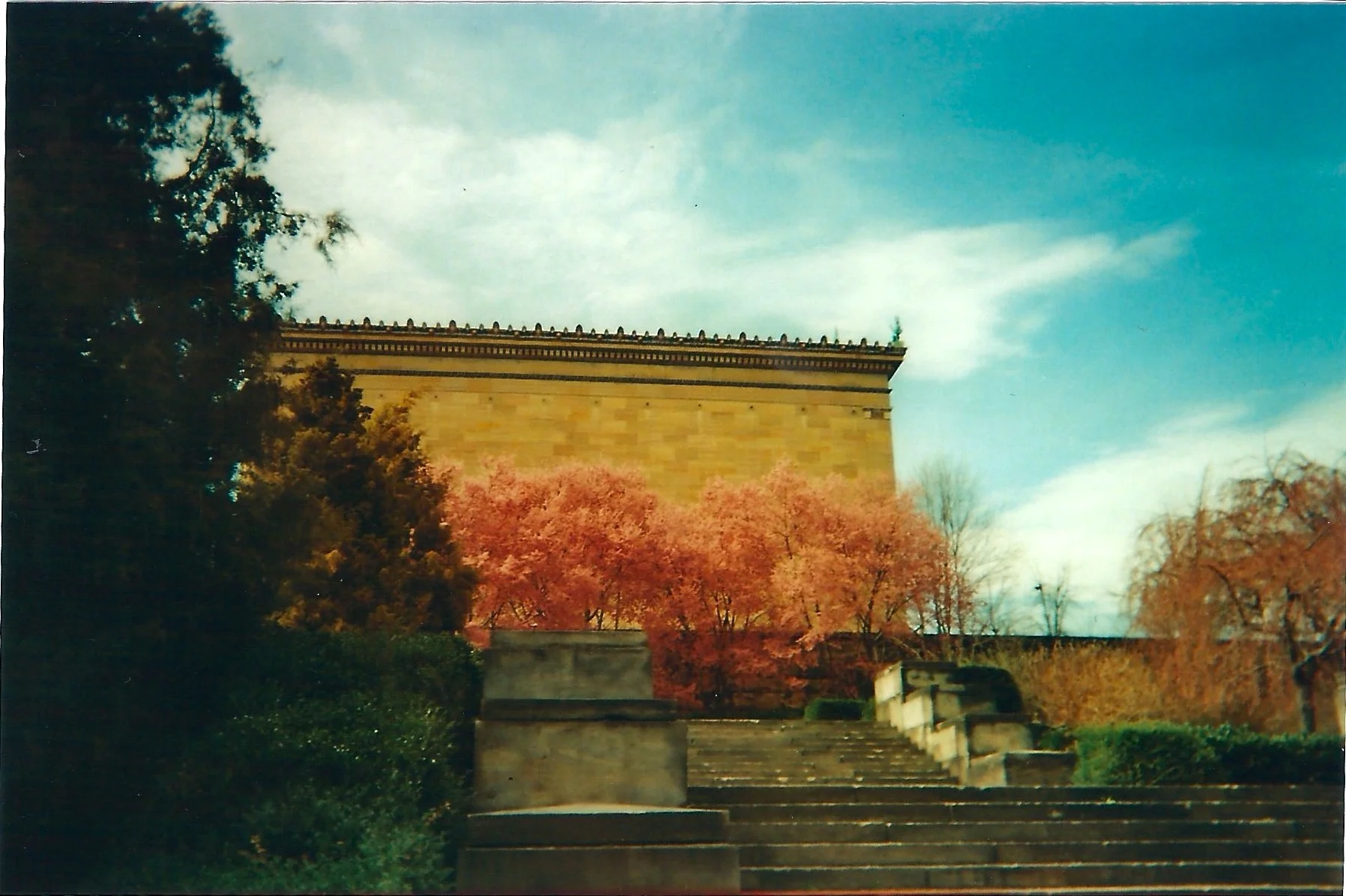 Scan 33.jpg