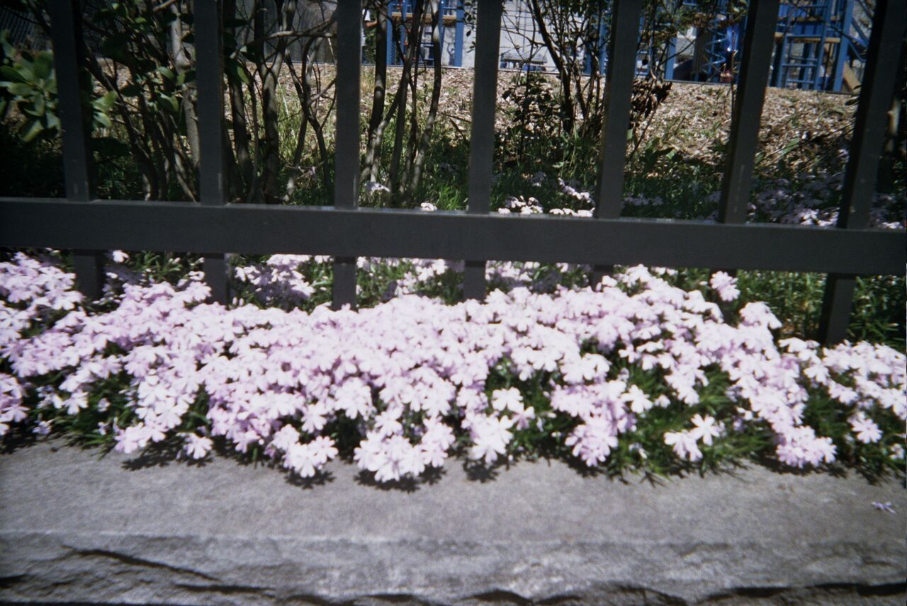 20A_1532_preview.jpeg