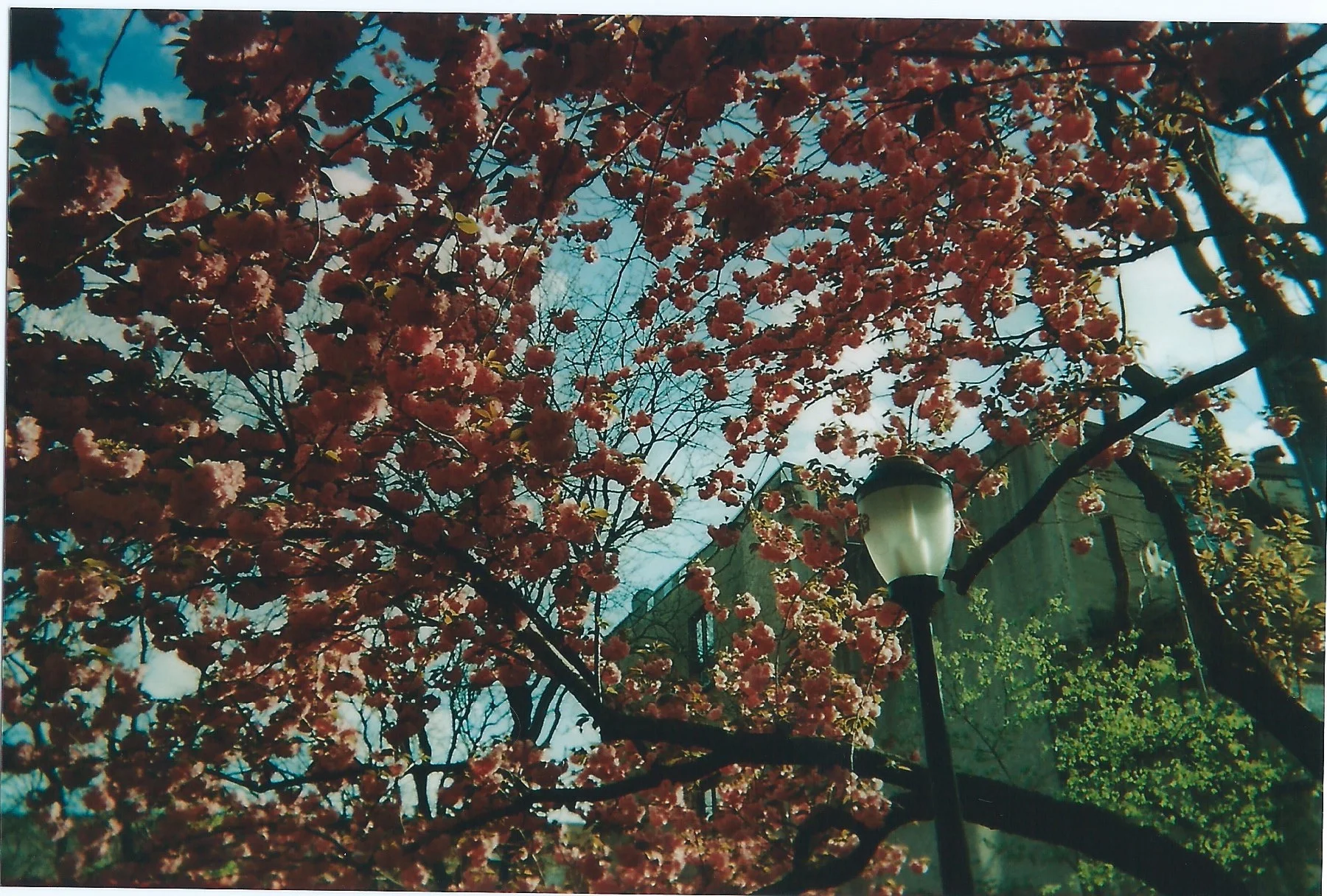 Scan 77.jpg