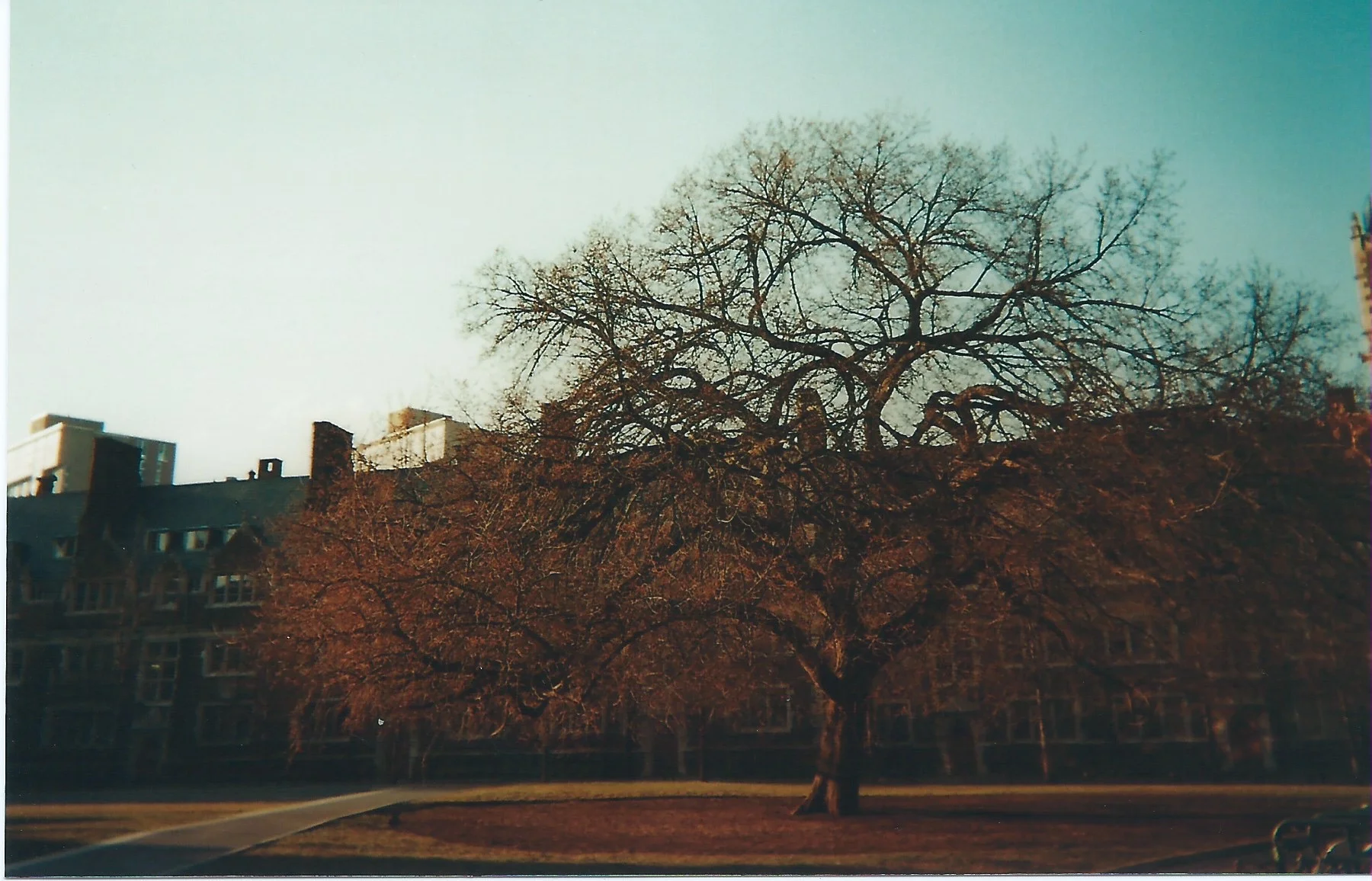 Scan 141.jpg