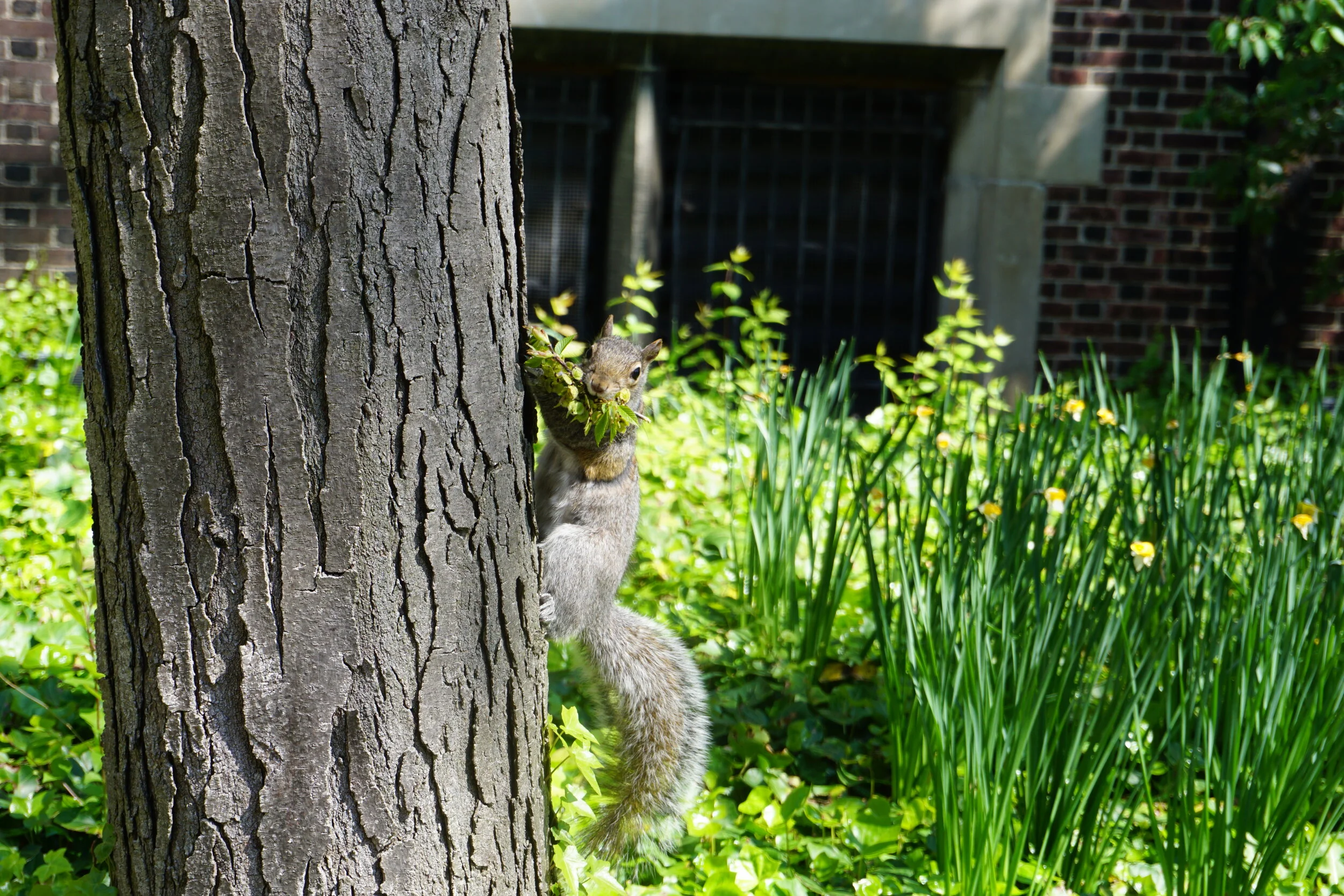 DSC00222.JPG