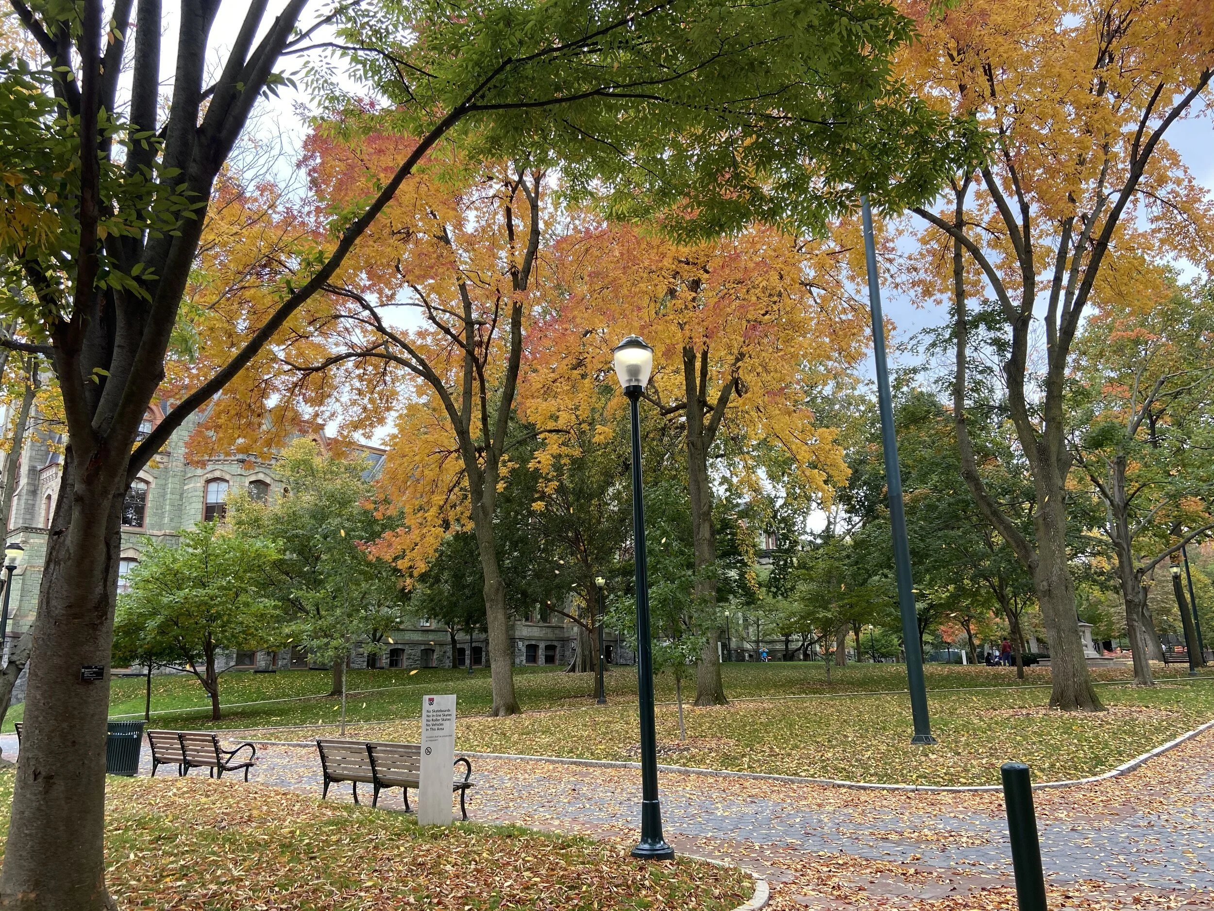 USED_ Rupa RK 207D8031-5A84-4043-B6FA-2D7A33B87FDE - Rachel Kulik.jpeg