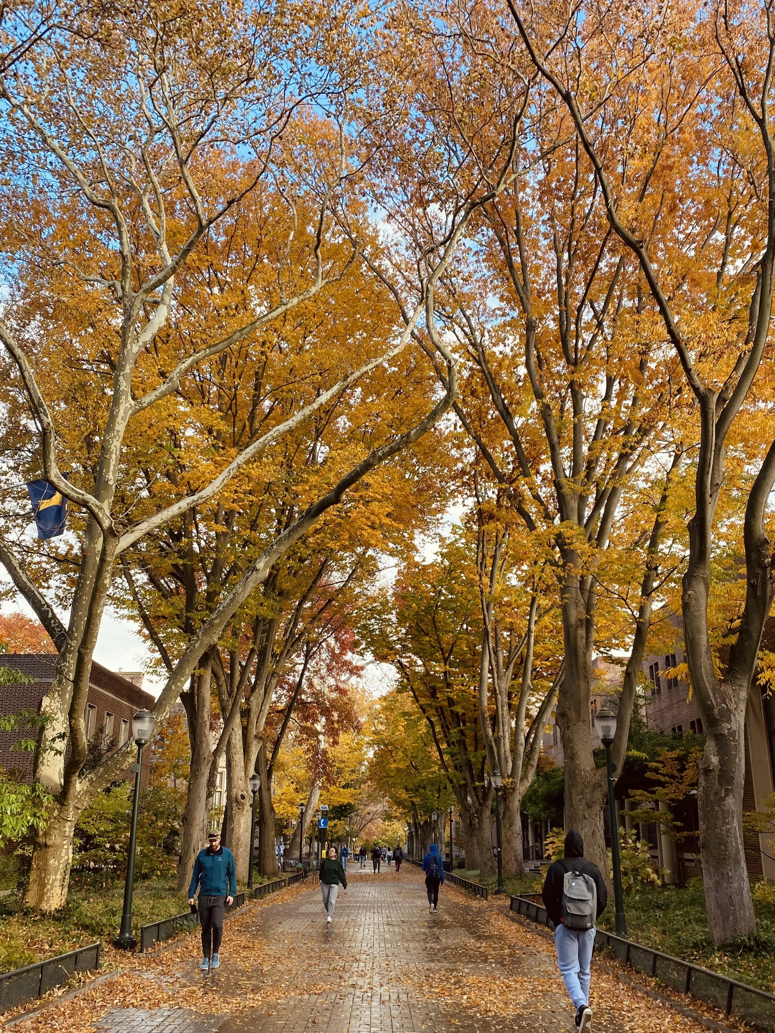 IMG_6295 - Voraya Vorapanyasakul.jpeg