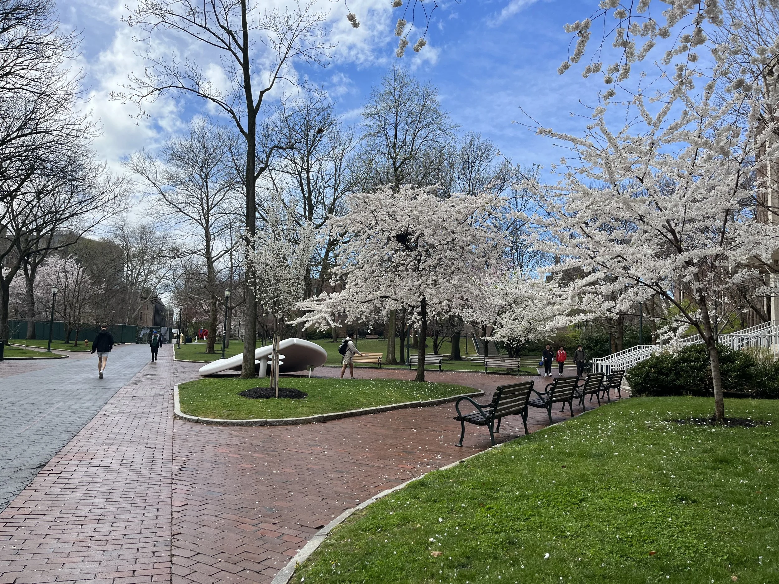 IMG_1876 - Erin Brennan.jpeg