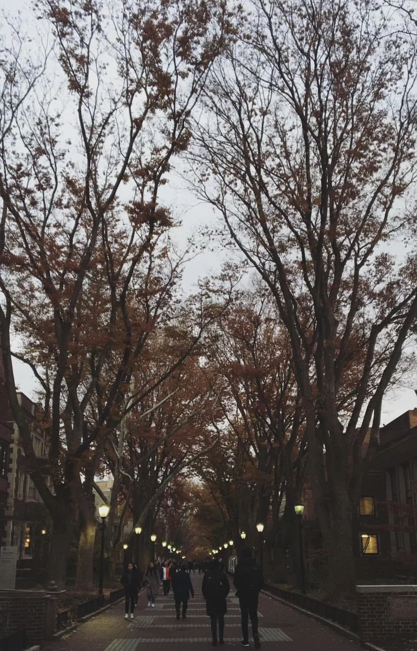 6478BB75-A538-4882-8F10-E67A19AE1738 - Alison Comite.jpeg