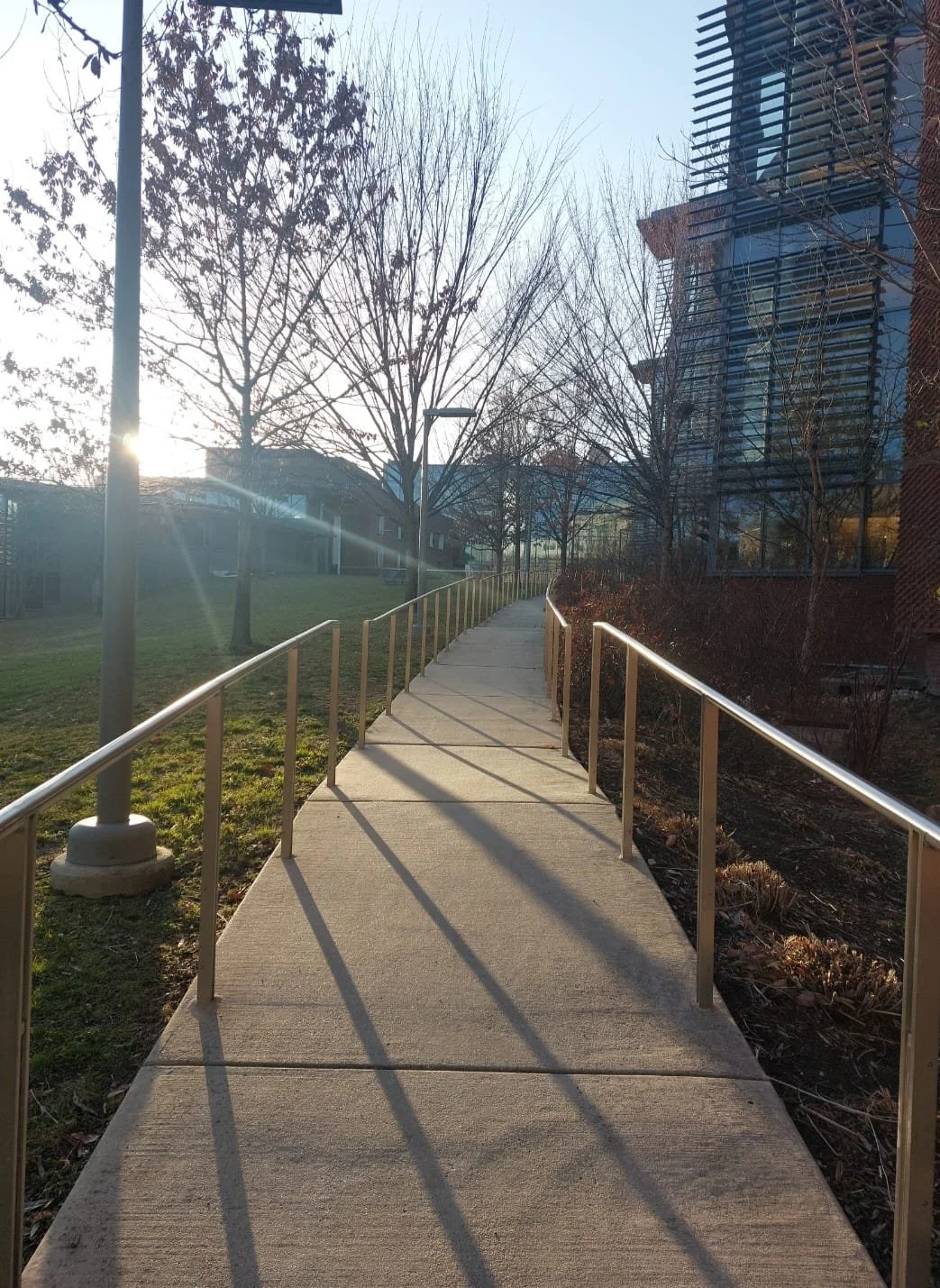 Trust your Gut by Dangela F IMAGE - Dangela Fonseca.jpeg