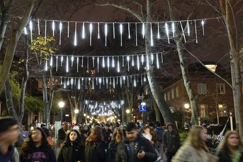 52552062364_9fda1e1cb3_o (1).jpeg