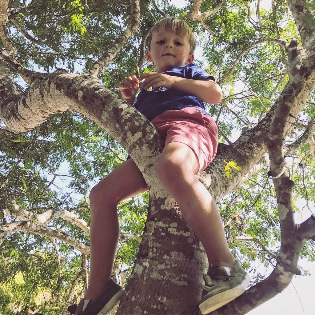 Tree Climbing Turner.jpg