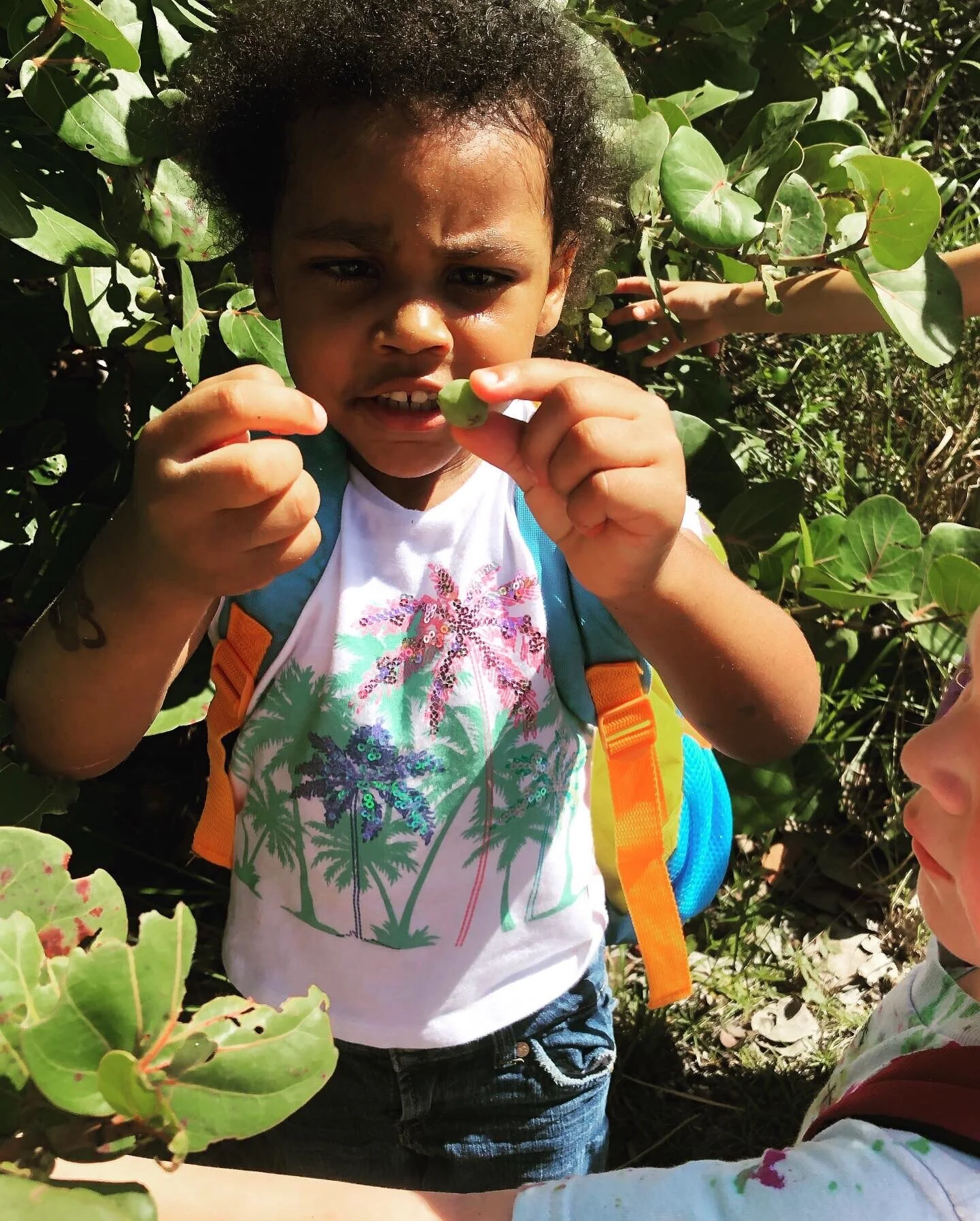 What is a Nature Preschool?