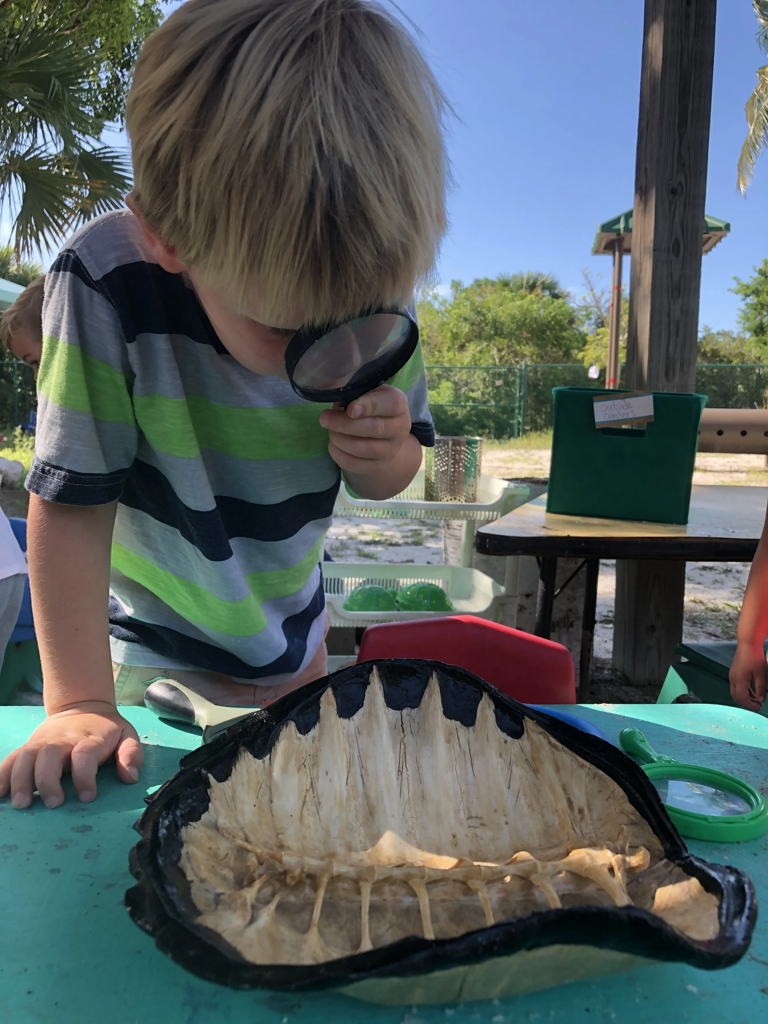 CECI: A Nature-Based Approach