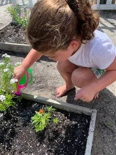 Calling All Gardeners!