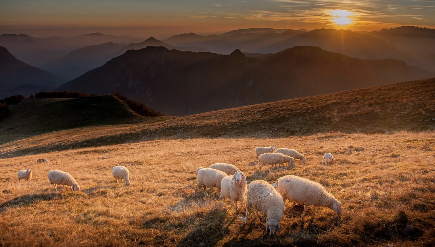 Filzige Revolution: Die Wiedergeburt des Wollfilzes - Eine Reise durch Handwerk, Innovation und Nachhaltigkeit mit HEY-SIGN