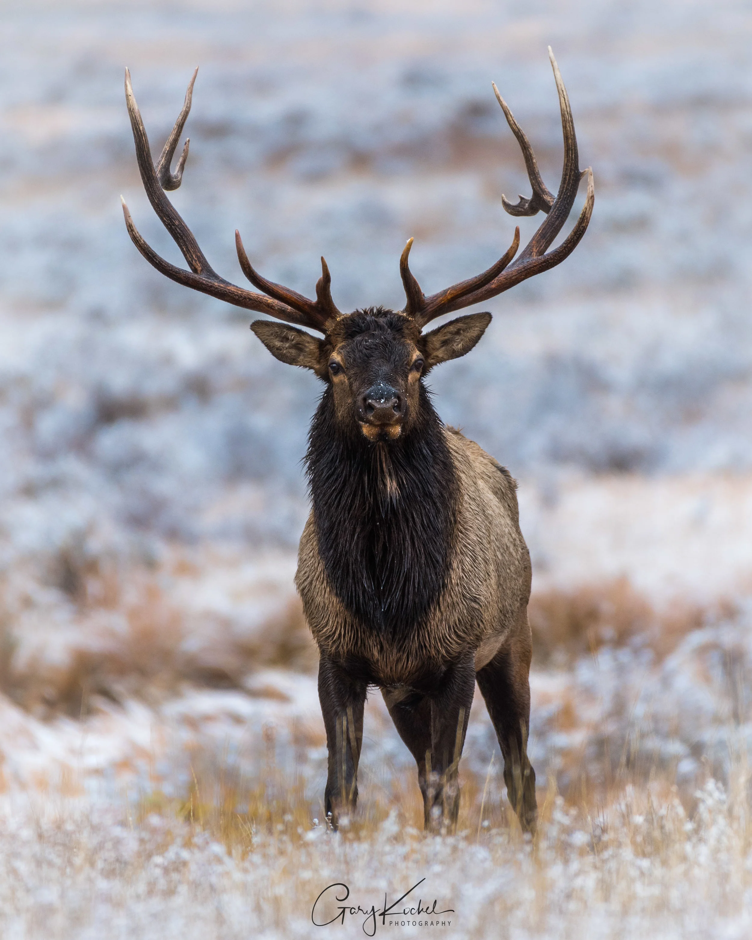 756_9720-2.jpg