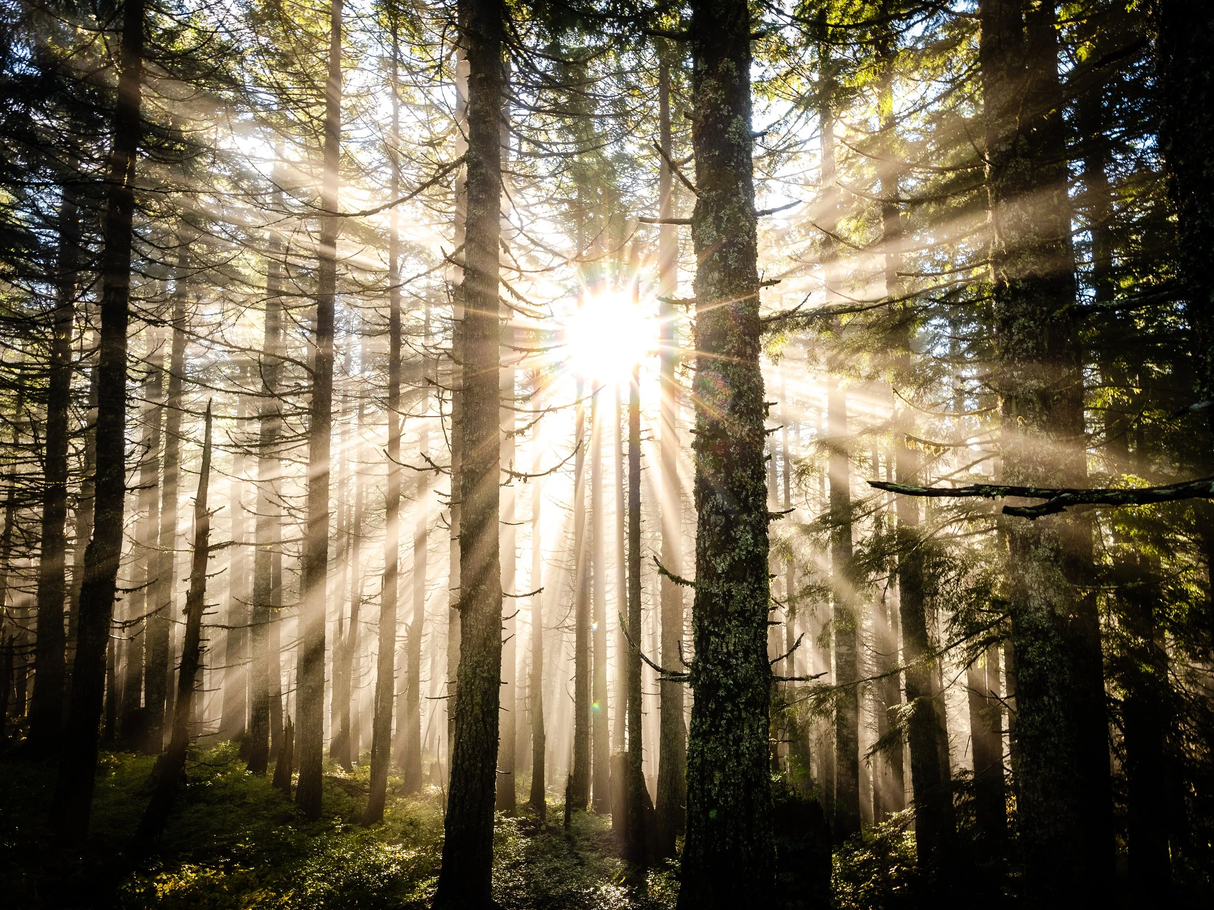 Gary Kochel-00095.jpg