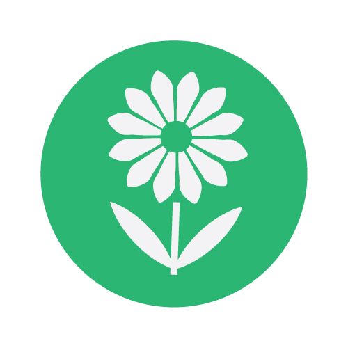Spring-Logo.jpg