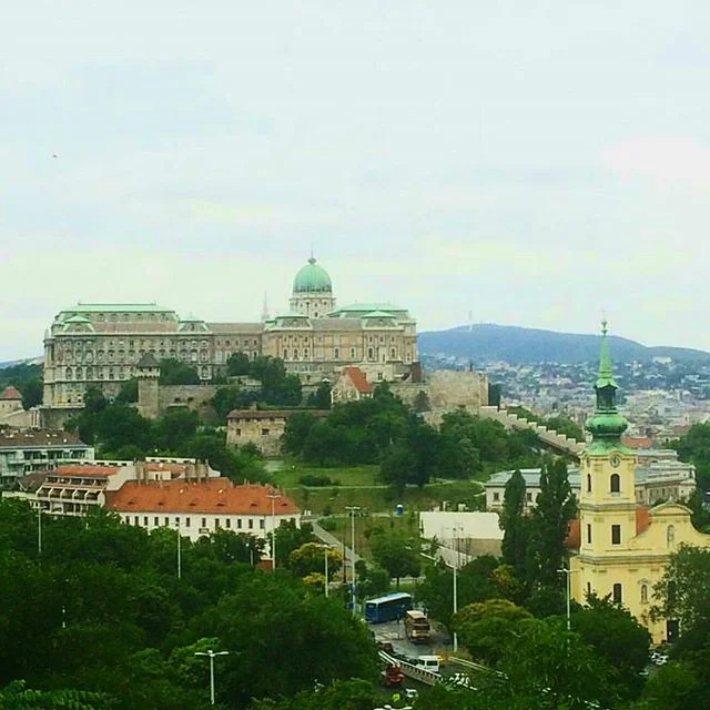 🎶 My house in Budapest 🎵 (more commonly known as Buda Castle) #GeorgeEzra #budapestcastle