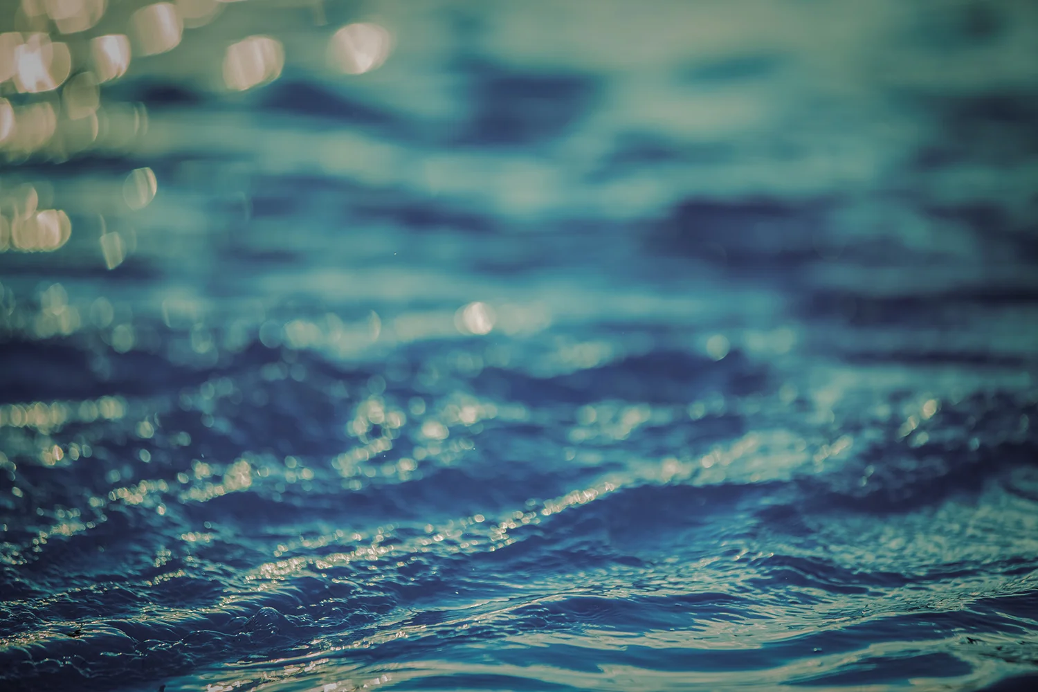 sea_header.jpg